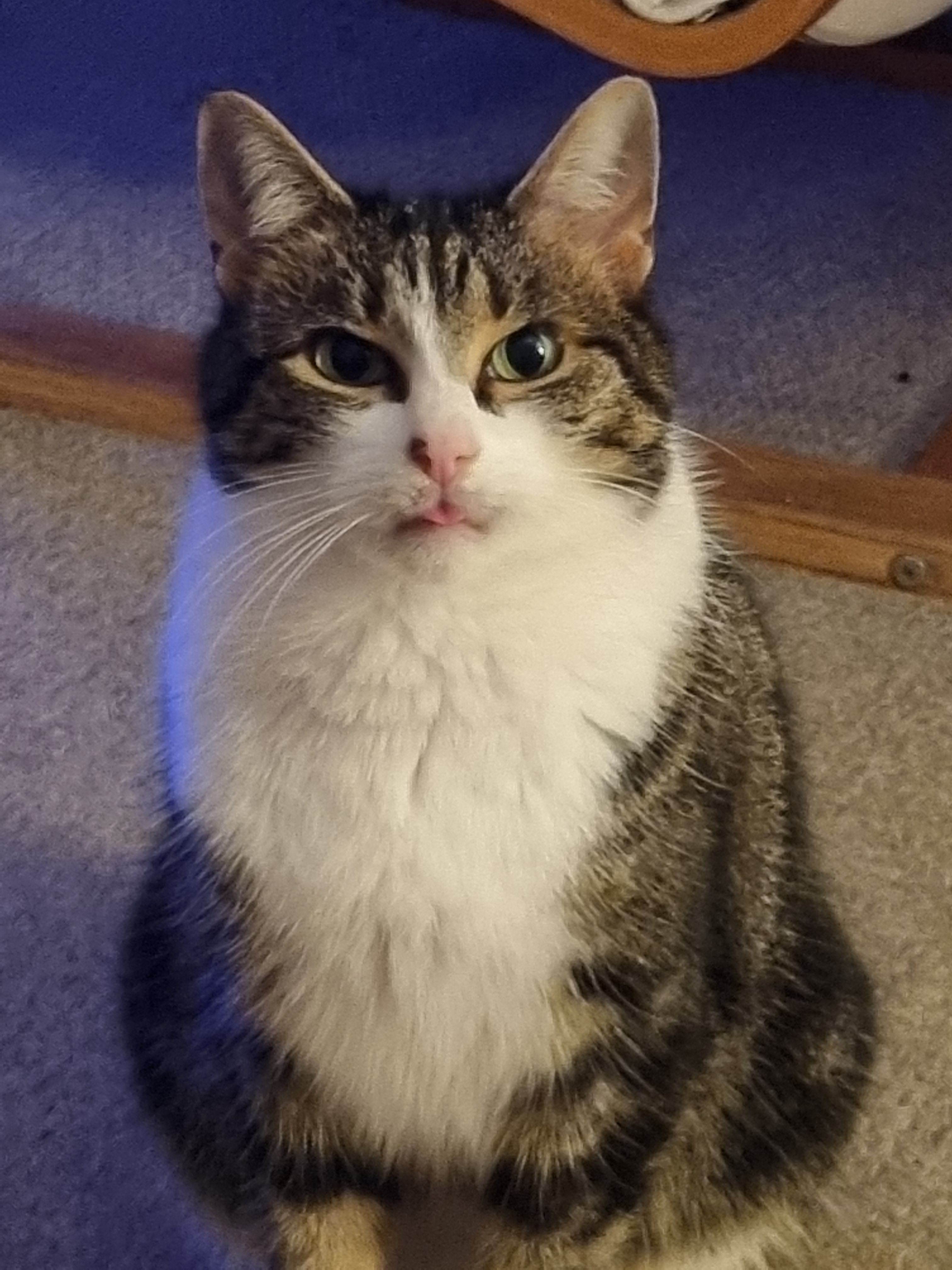 user avatar image for Beth