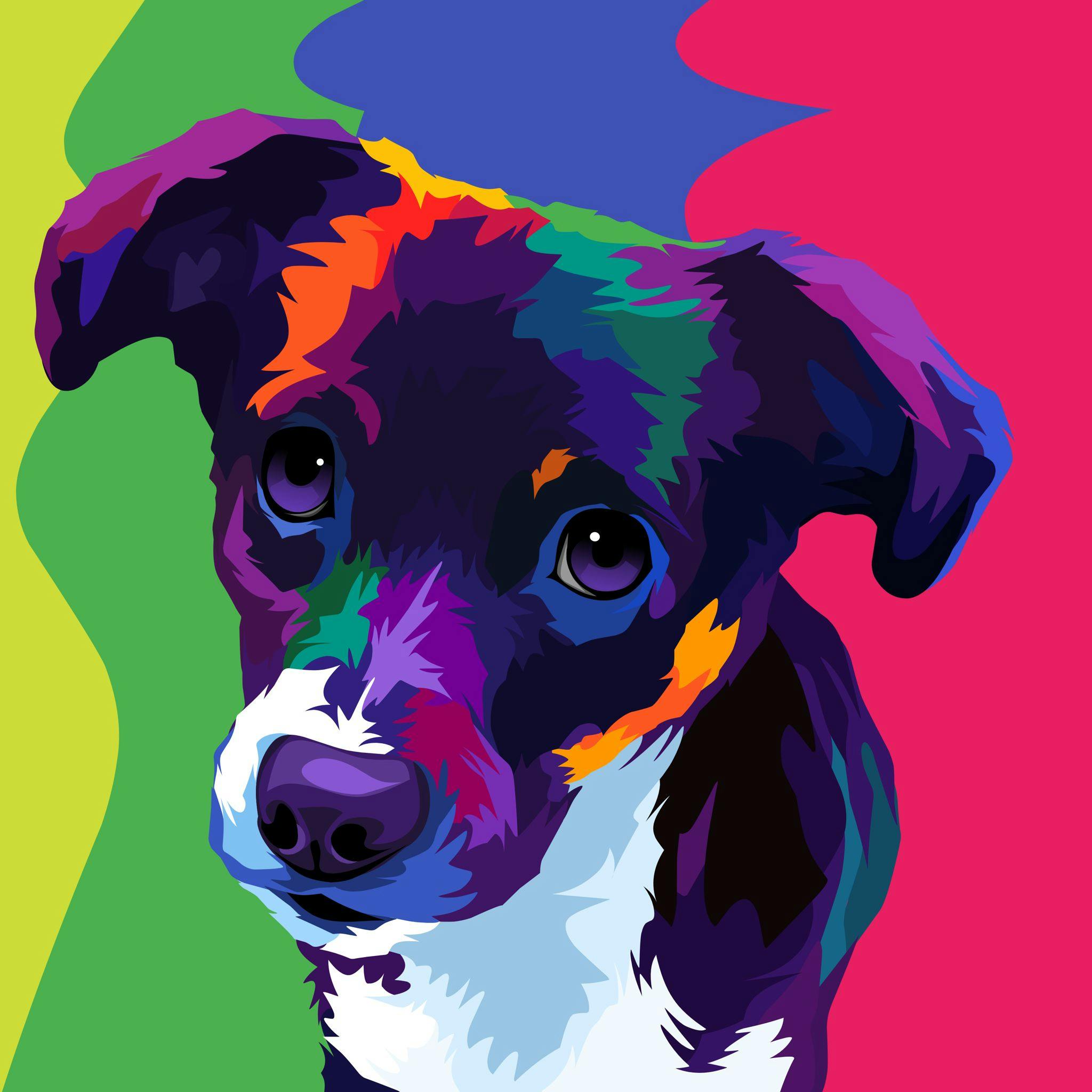 user avatar image for Shona
