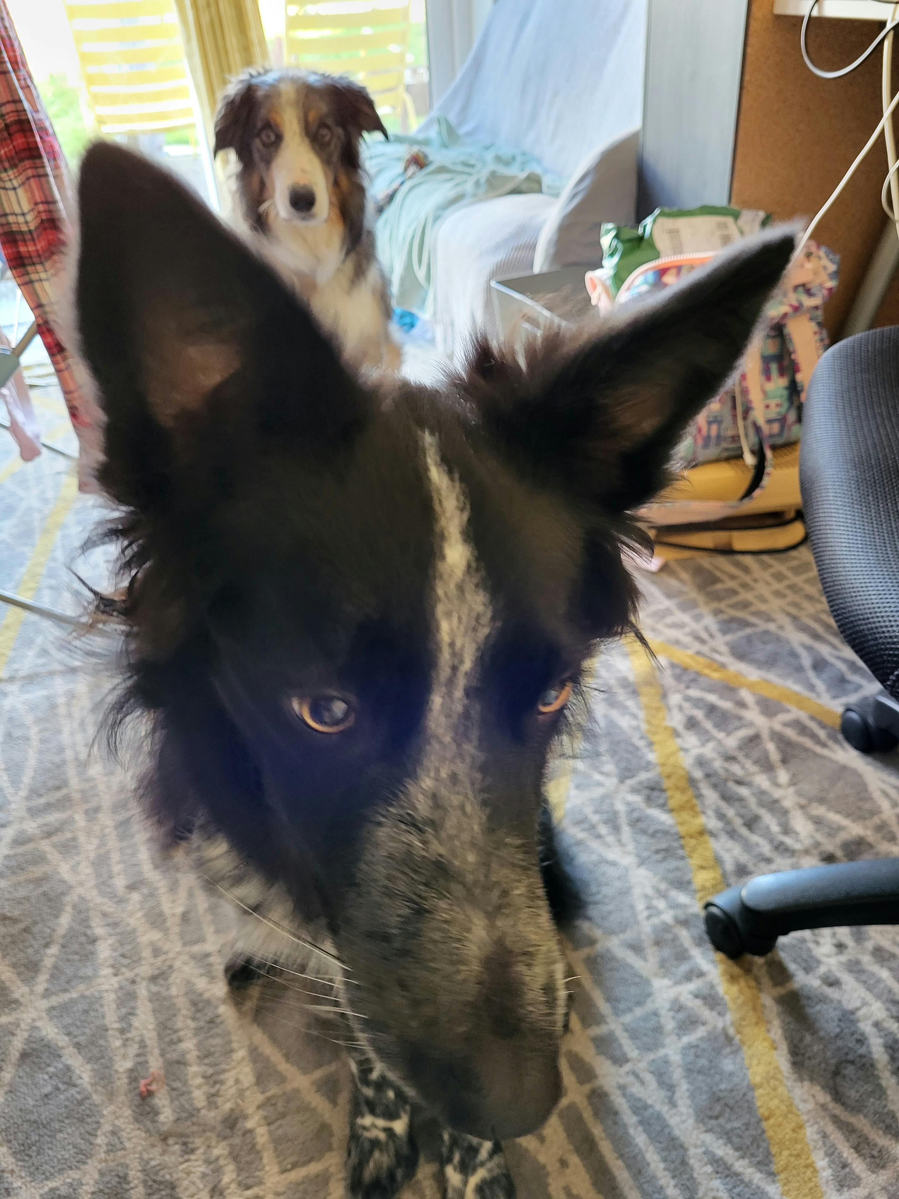 user avatar image for Robyn Stanton