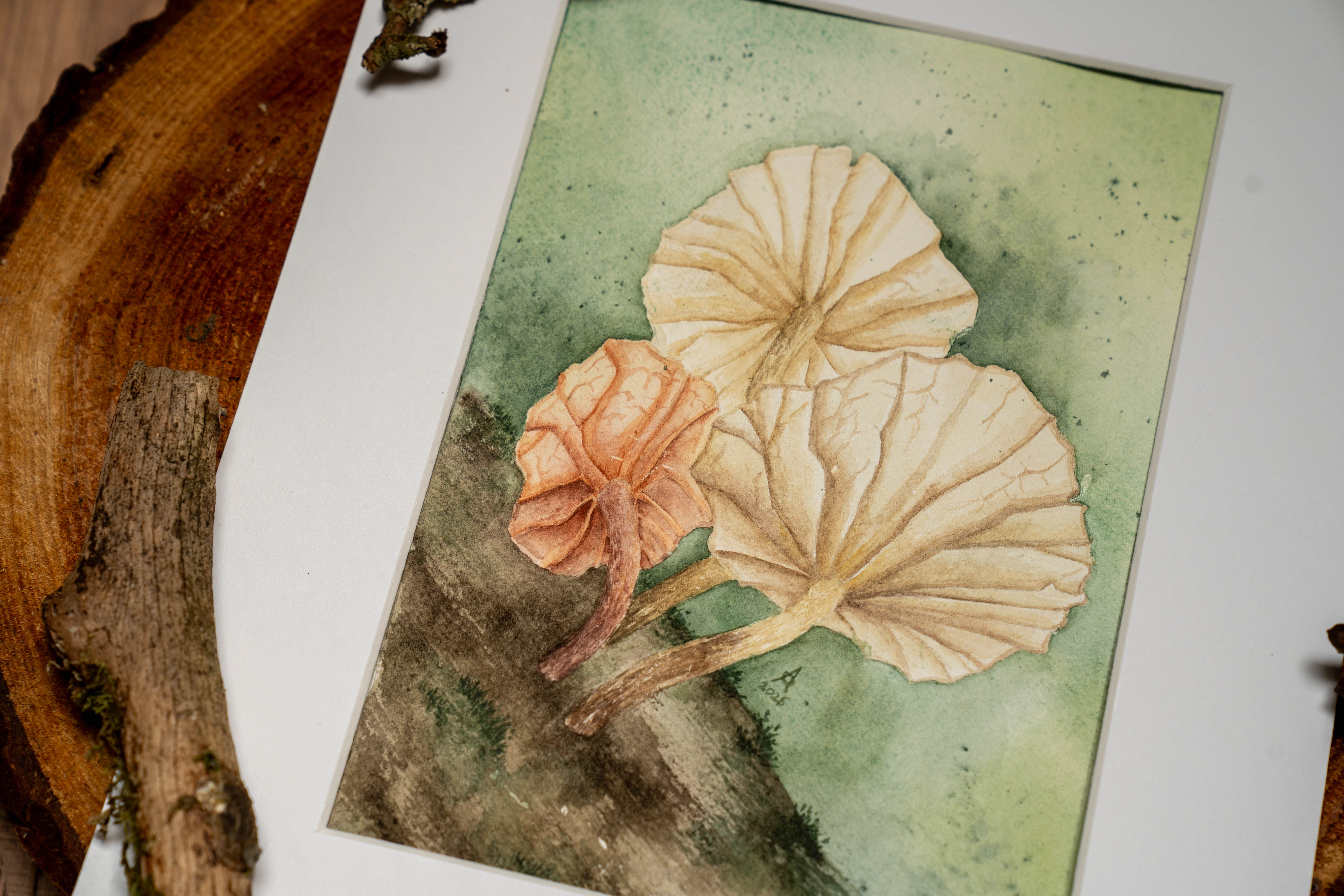 Original Artwork: Fairy Parachute
