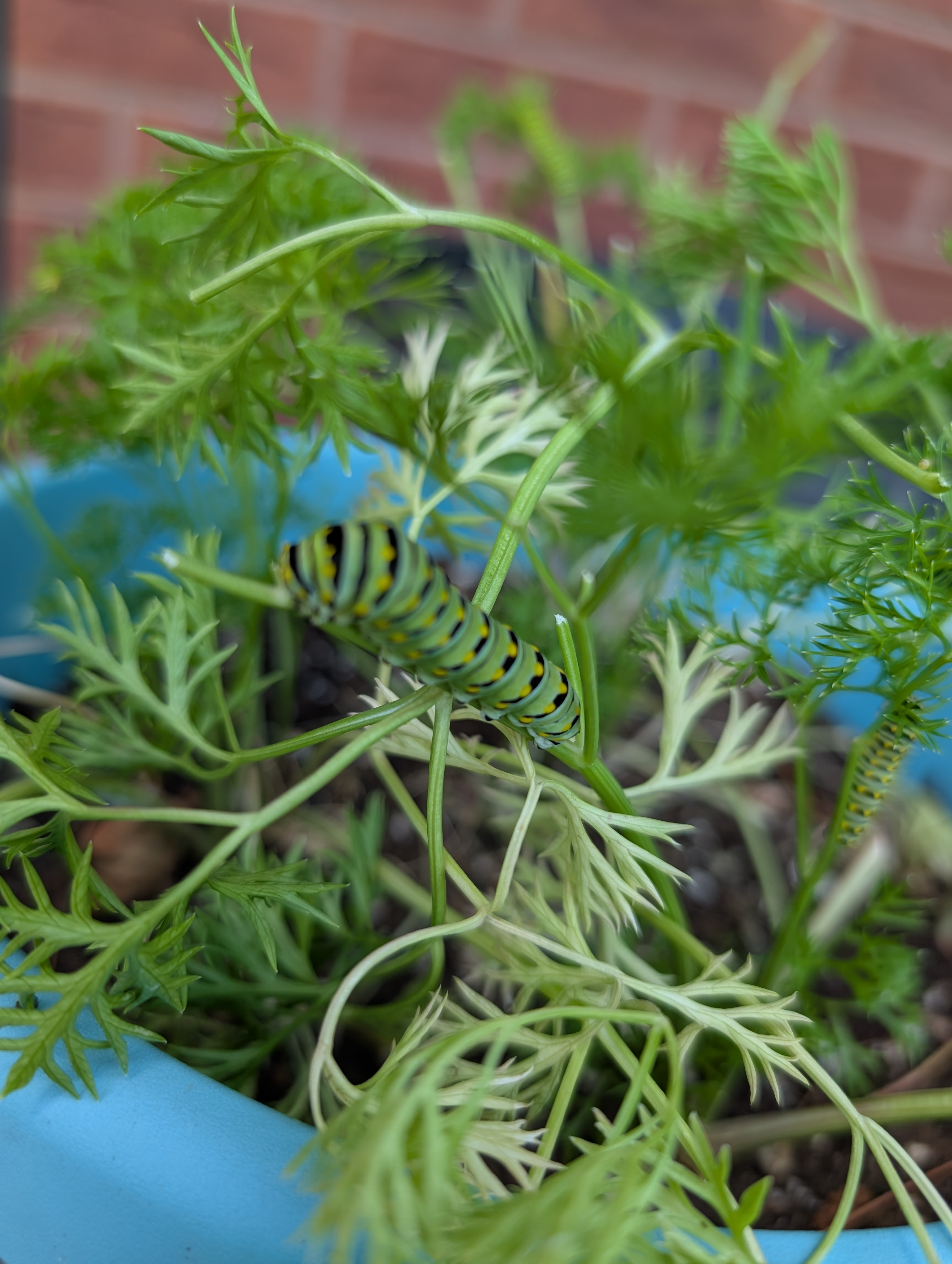 user avatar image for Jack