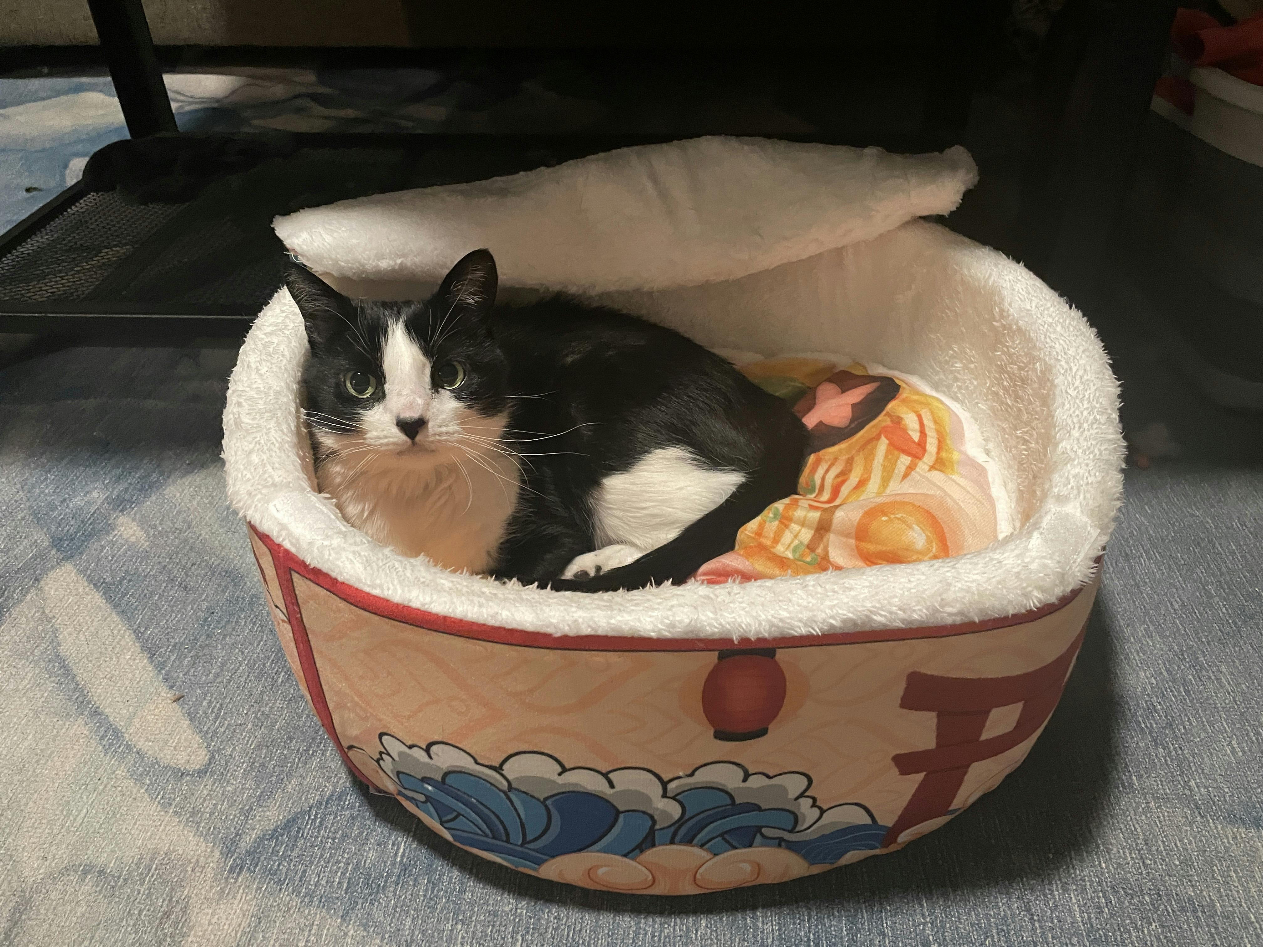 user avatar image for Kaitlyn E