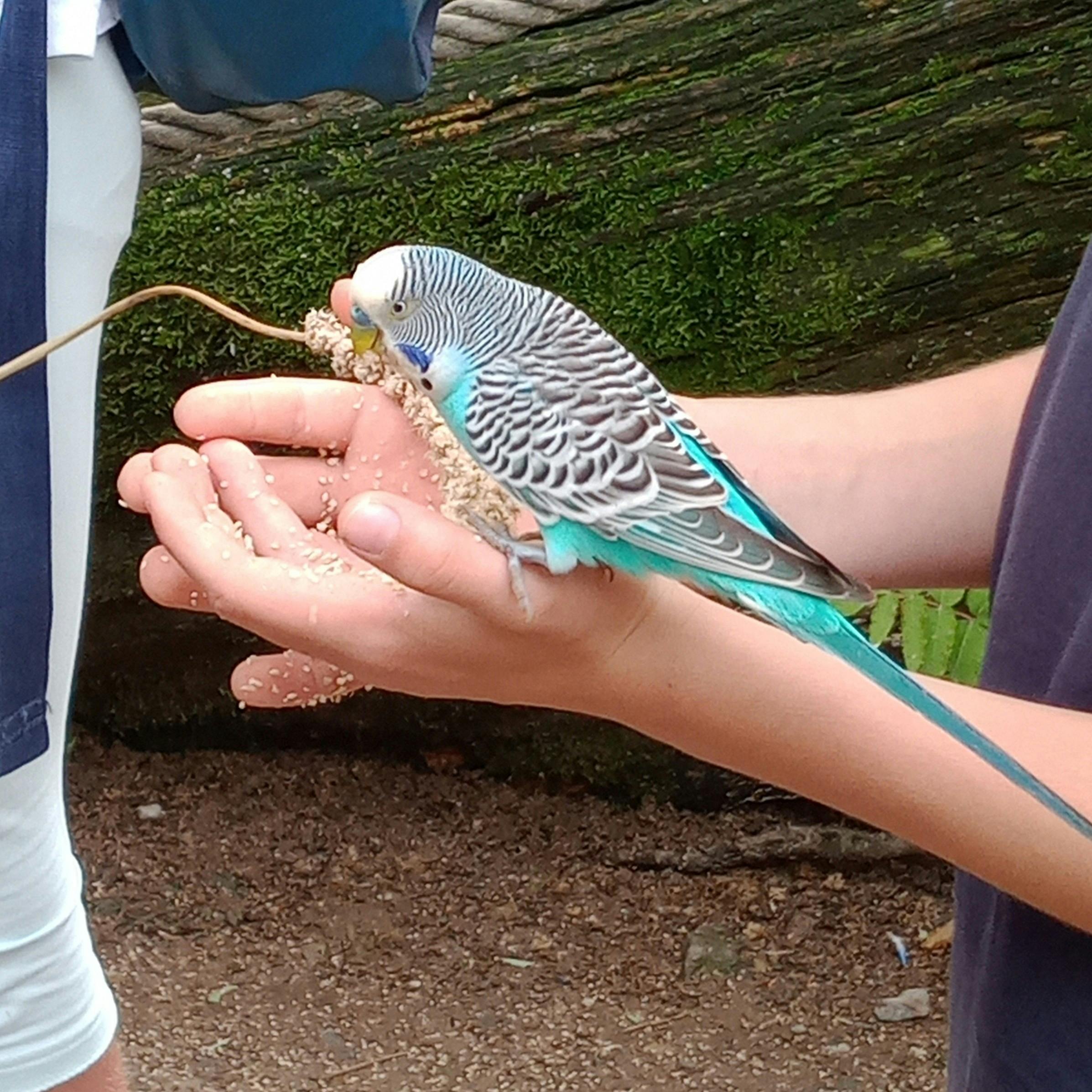 user avatar image for Daniel 