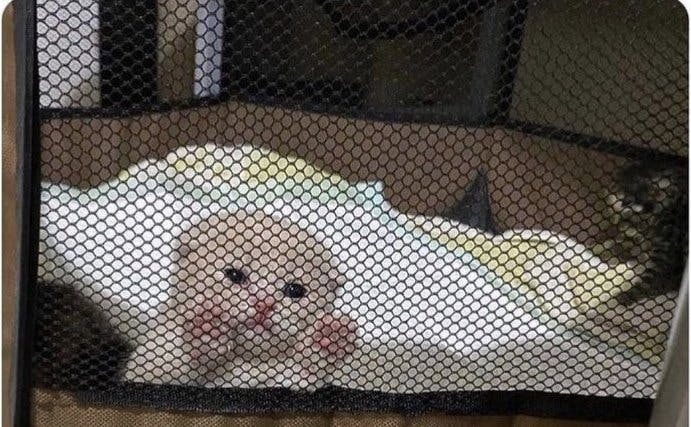 user avatar image for Ciara