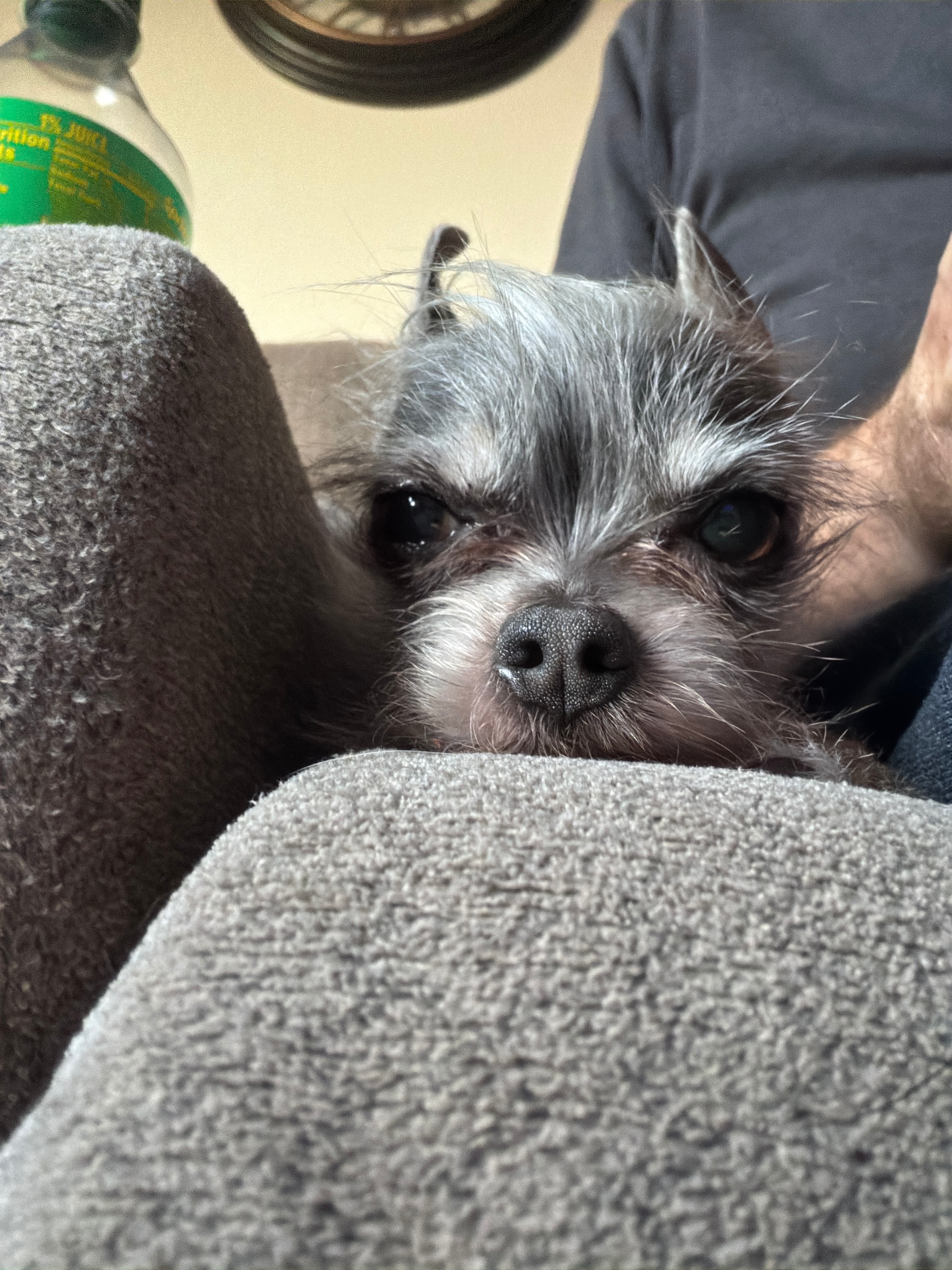 user avatar image for Deathsiah