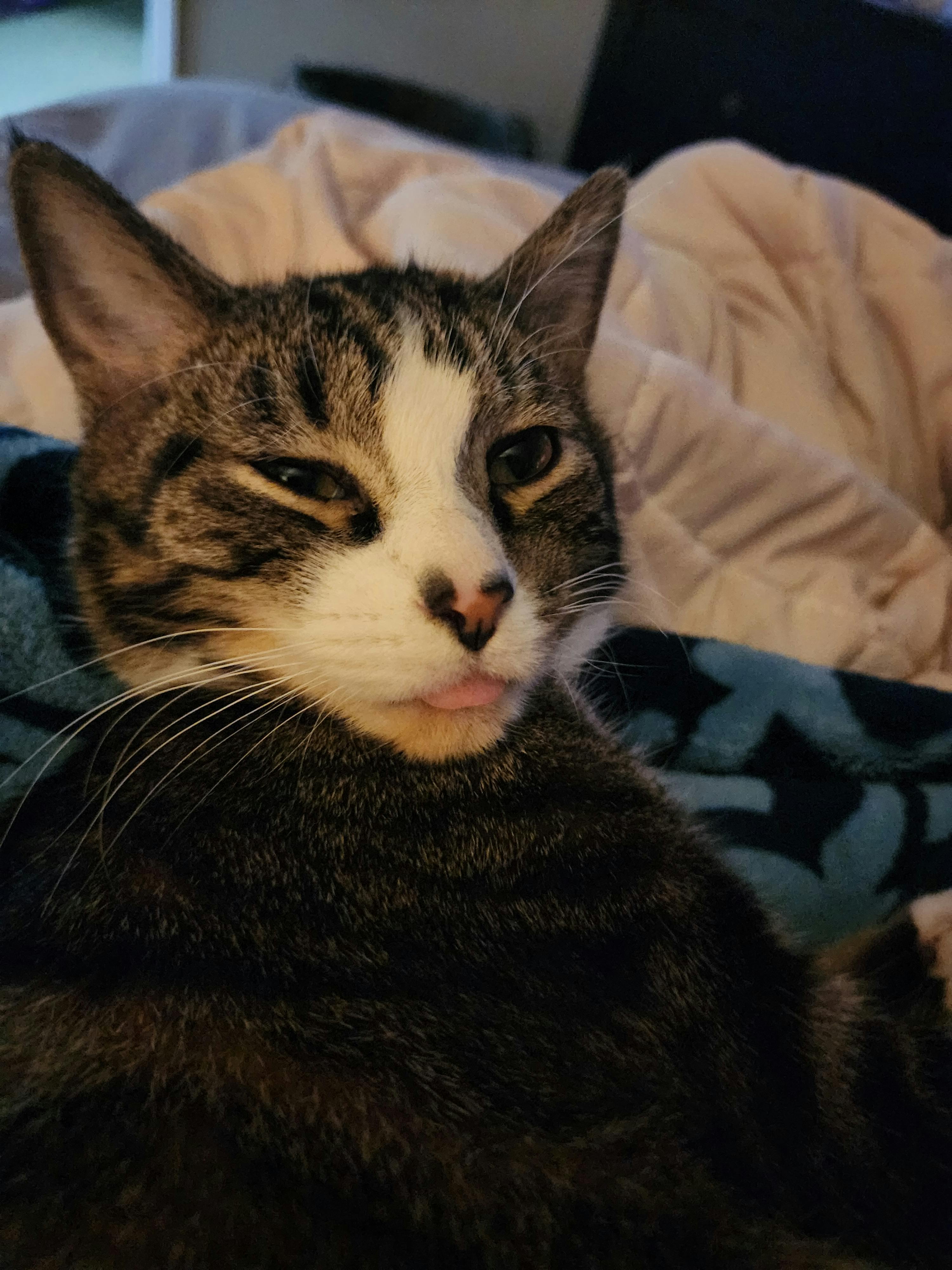 user avatar image for Ian