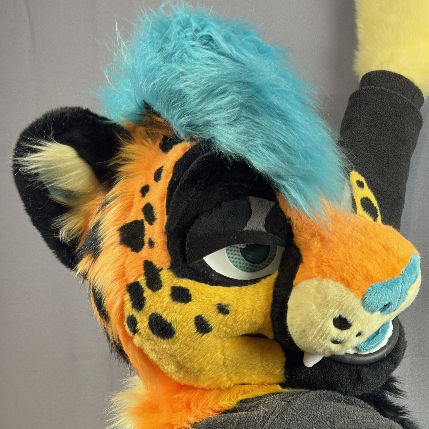 user avatar image for TeruChee