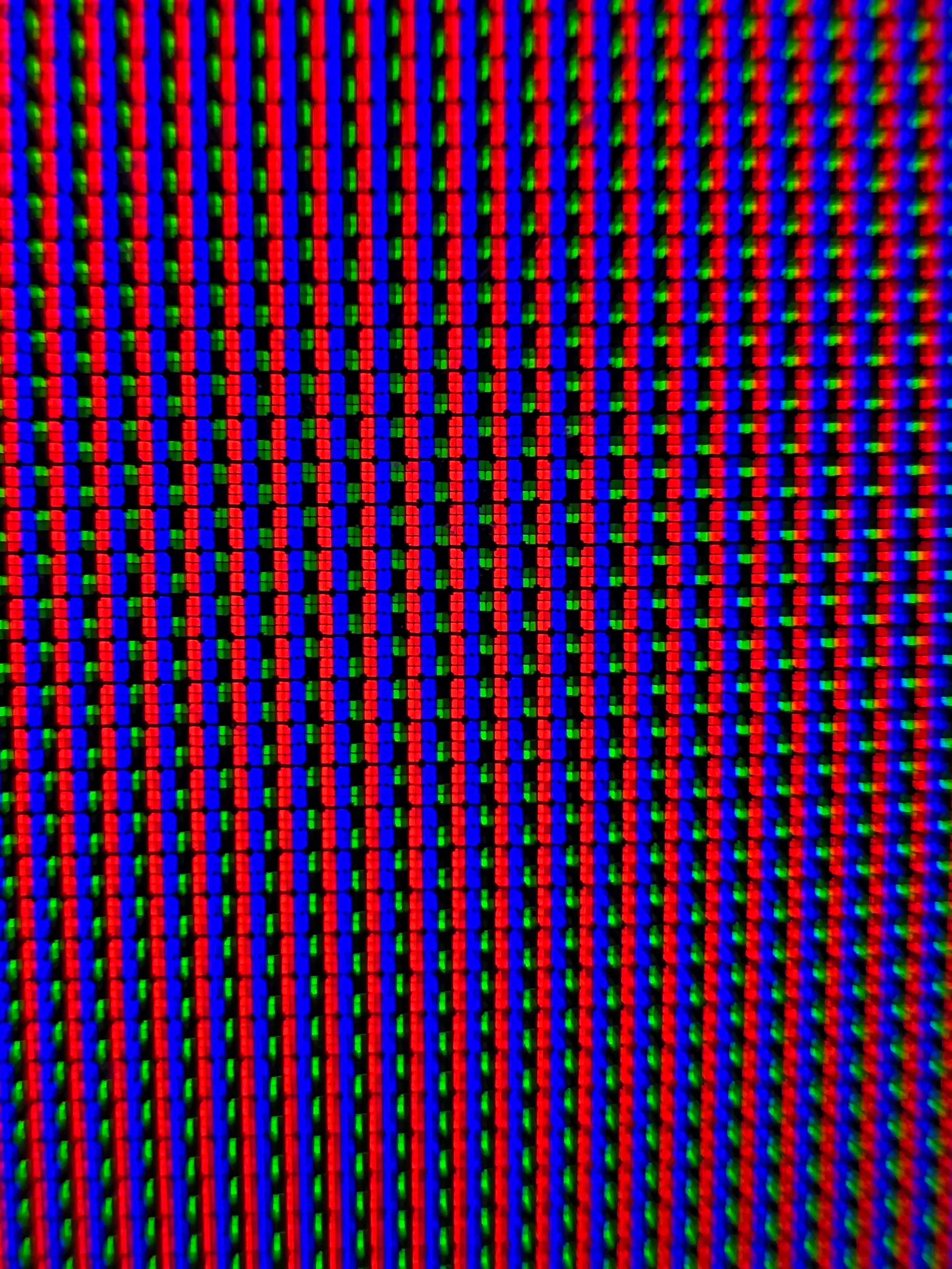 user avatar image for Dane Rawls