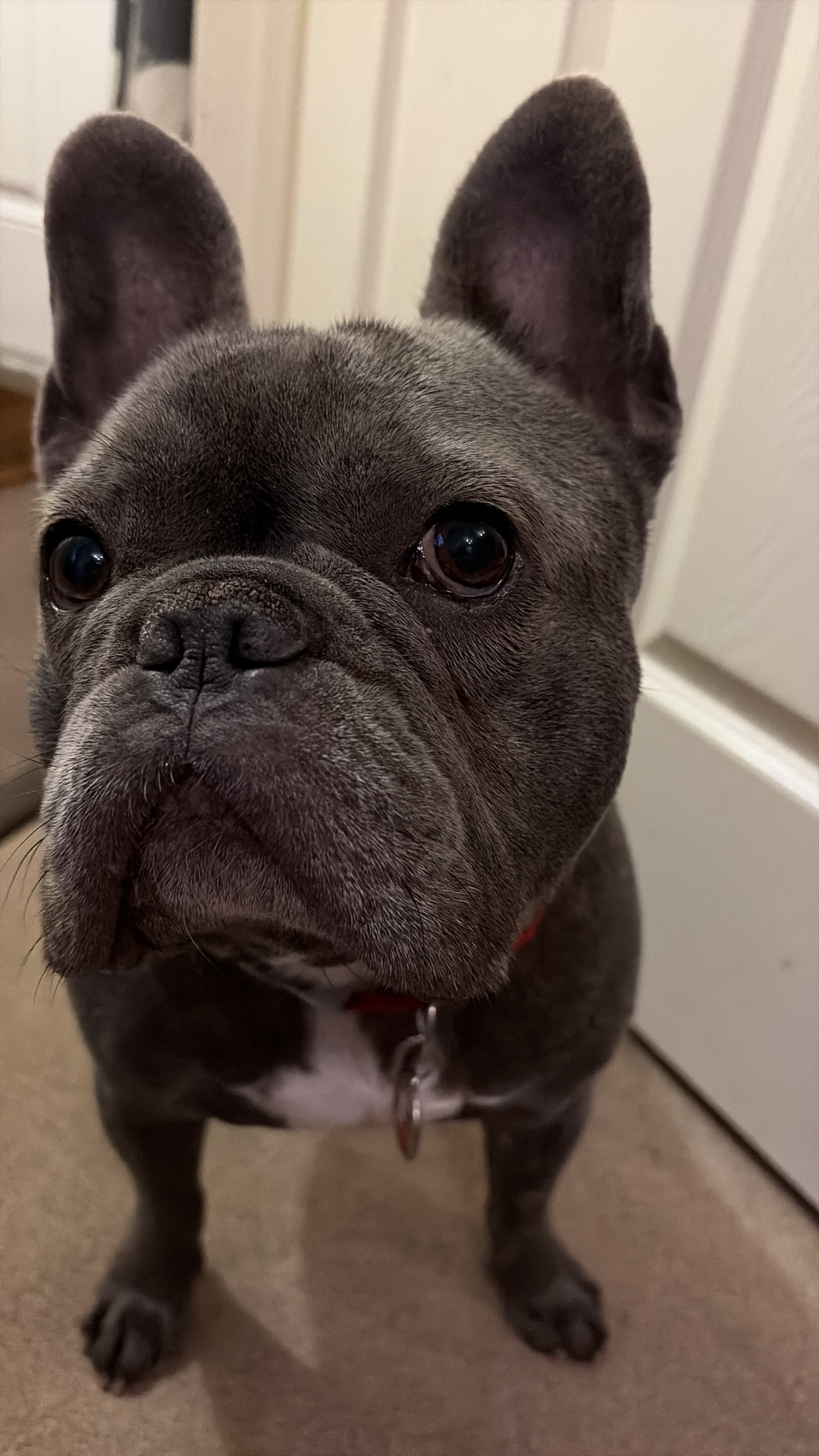 user avatar image for Gail 