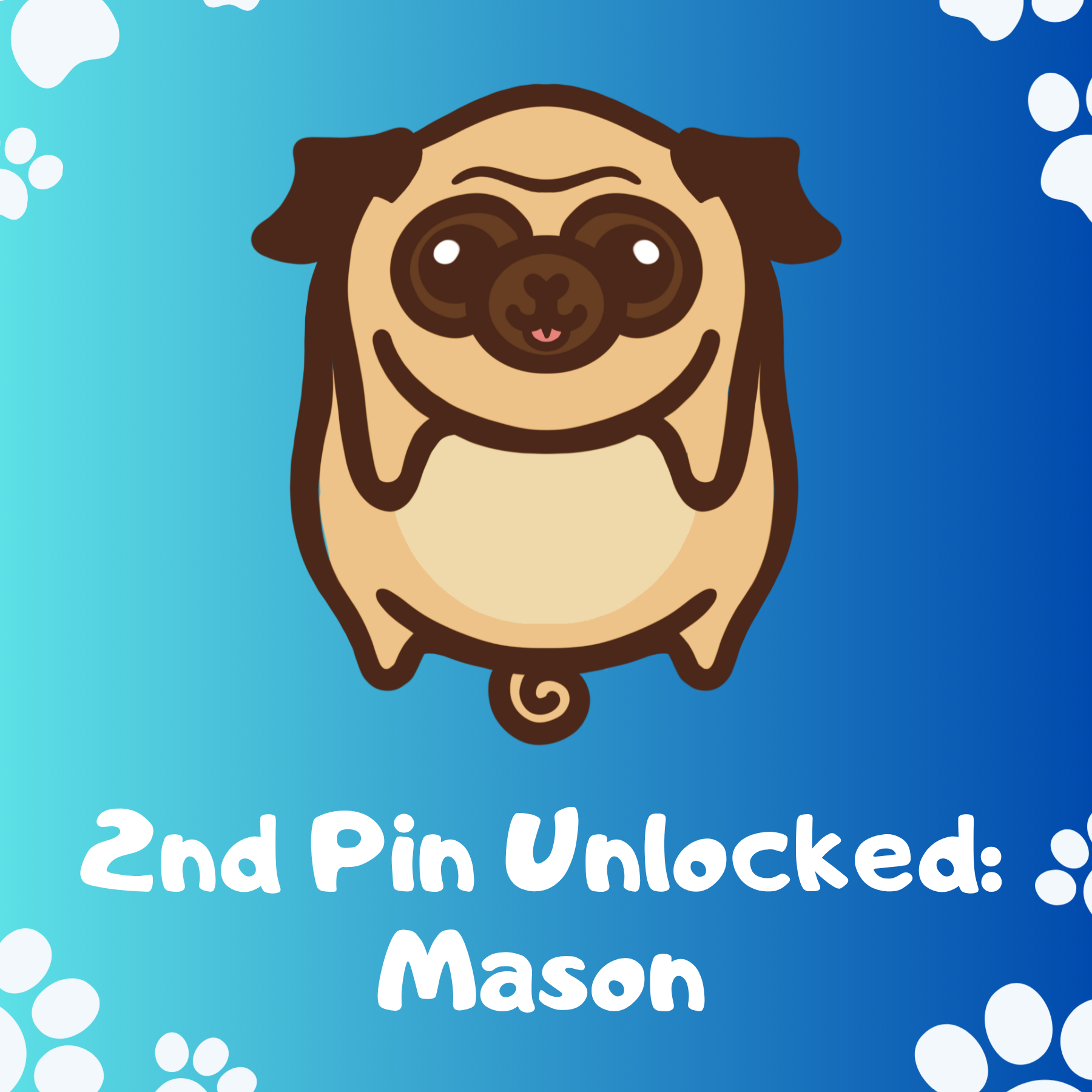 2nd Pin Unlocked: Mason