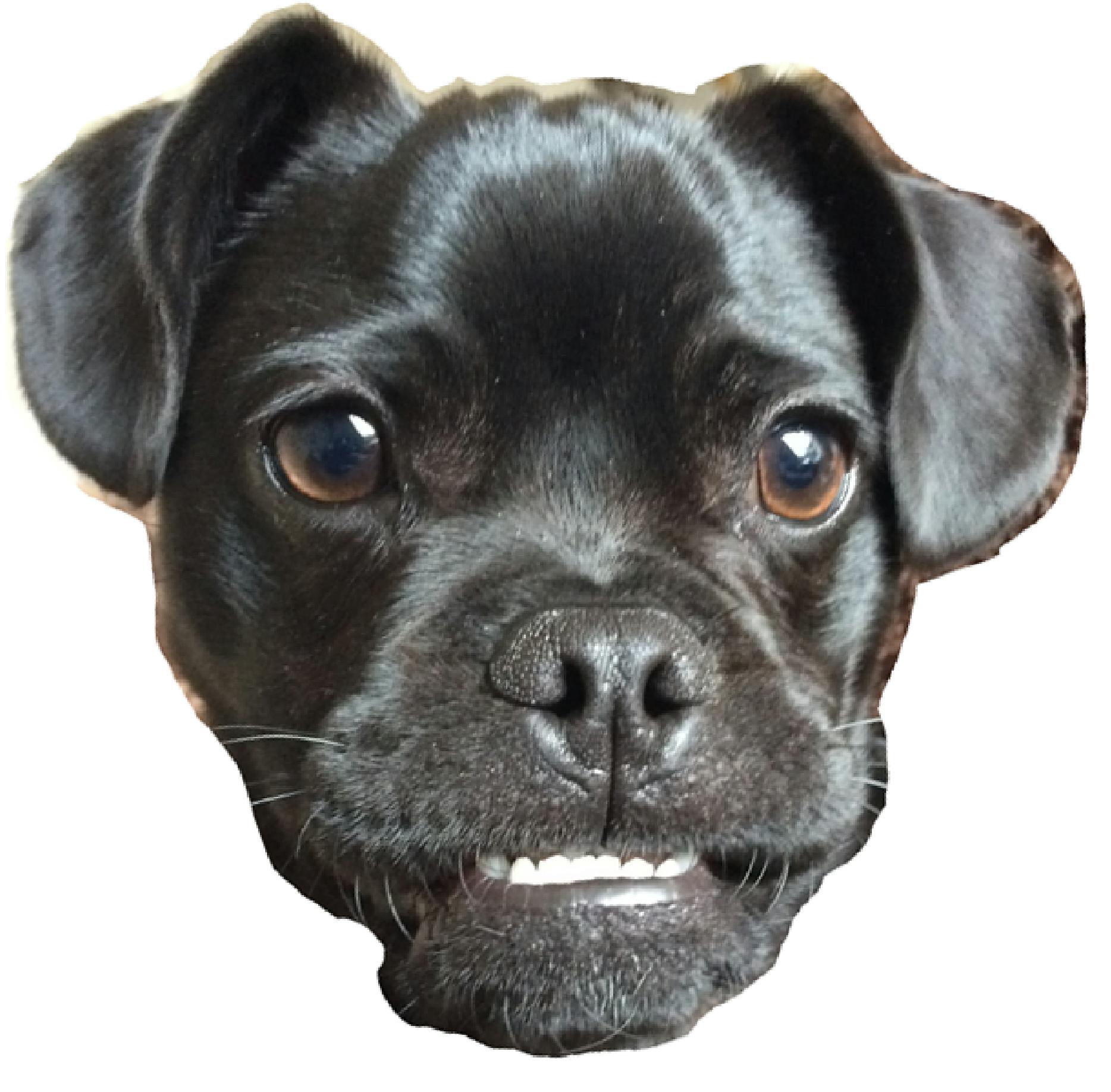 user avatar image for Ellie