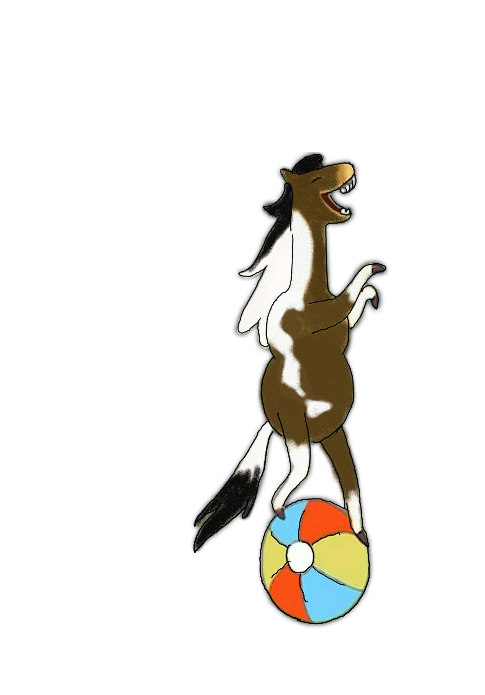 user avatar image for Su Hamblen