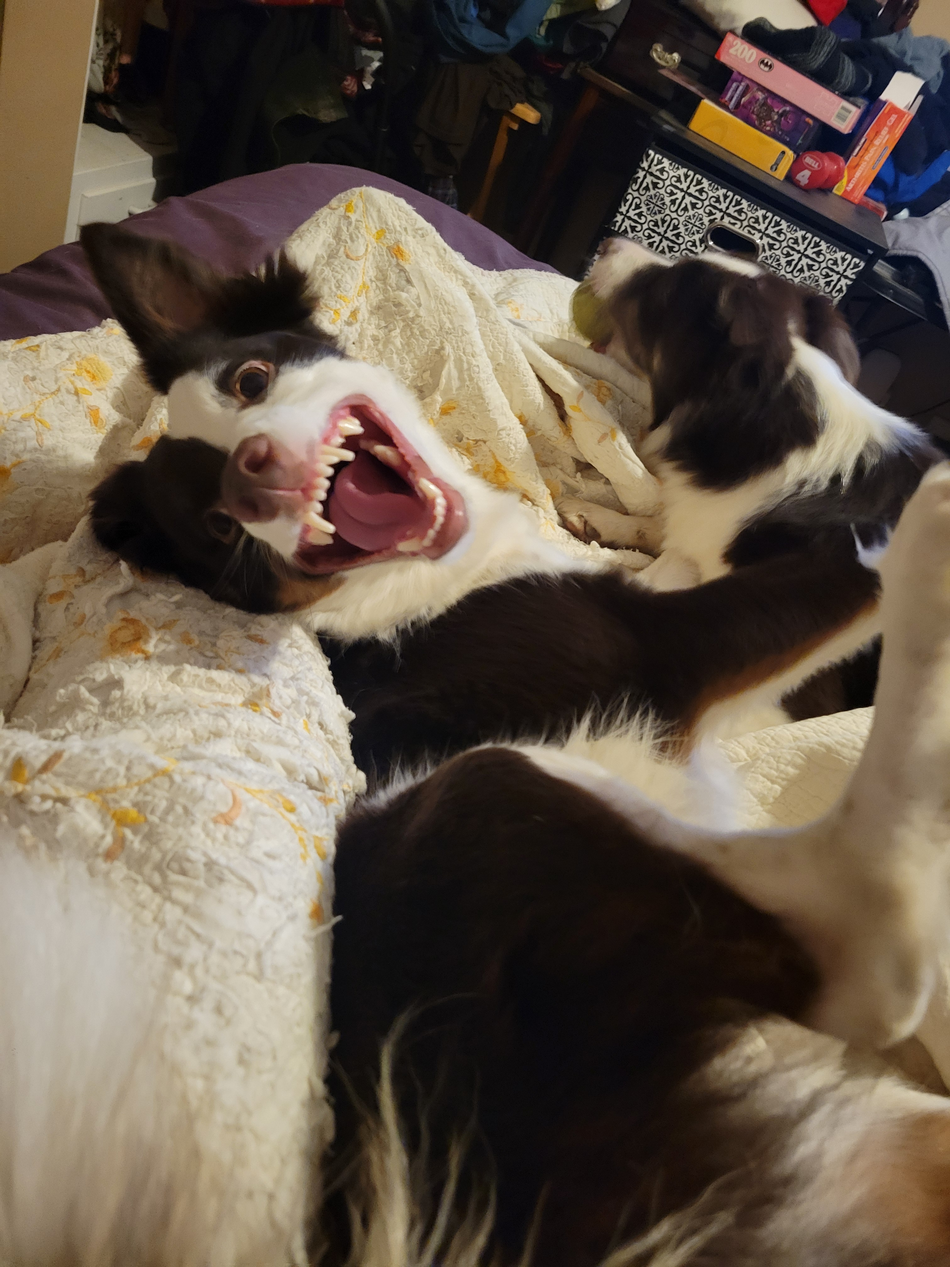 user avatar image for Krasst