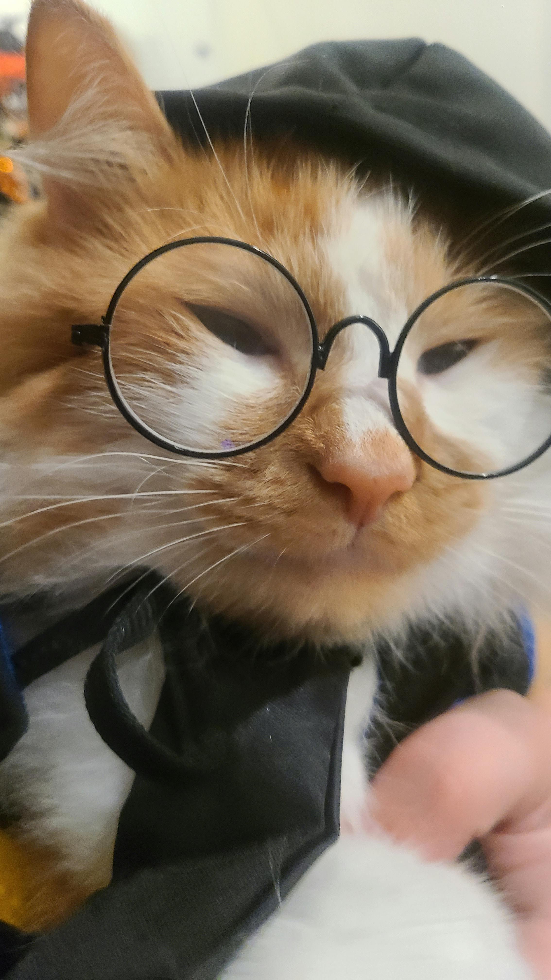 user avatar image for Haley E.