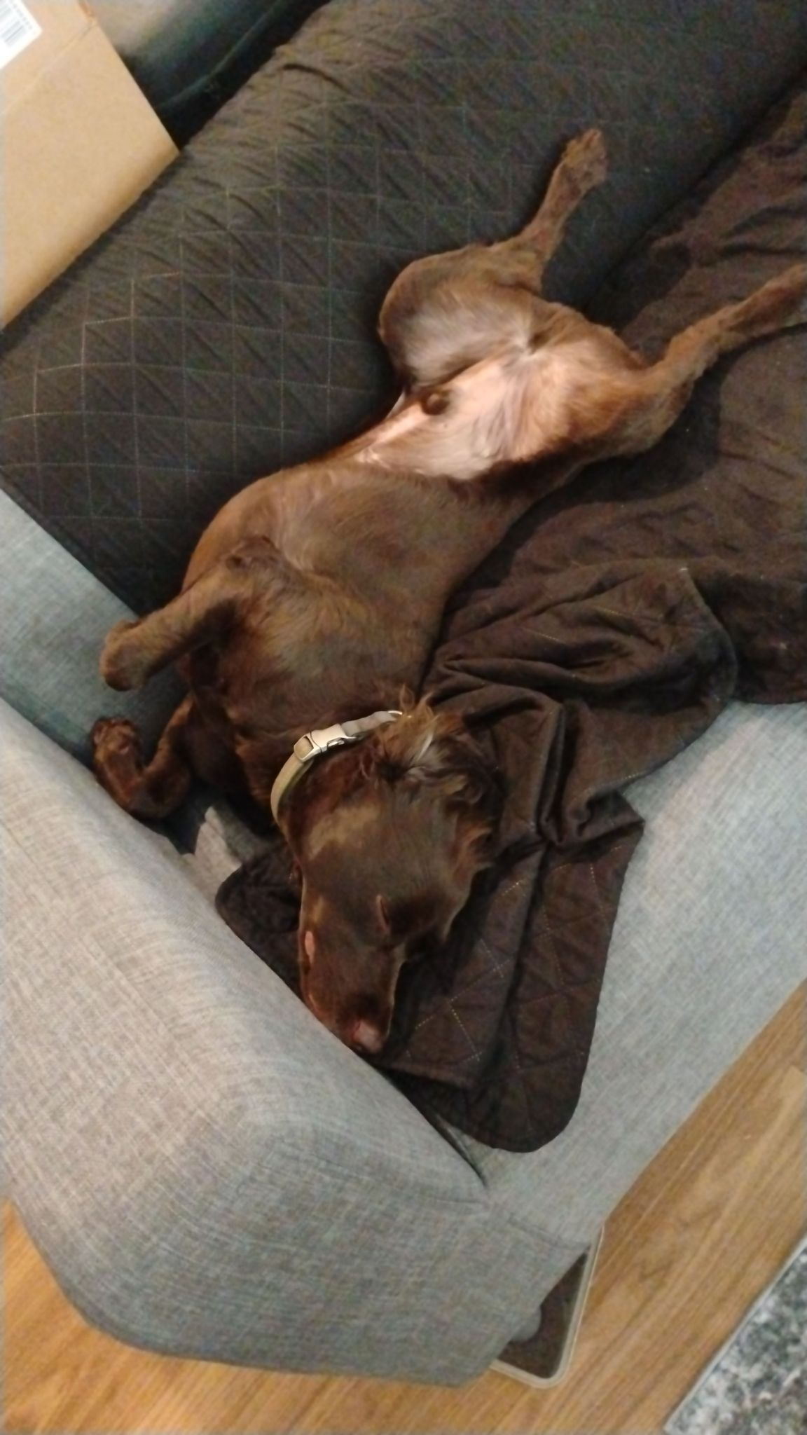 user avatar image for littl3williams