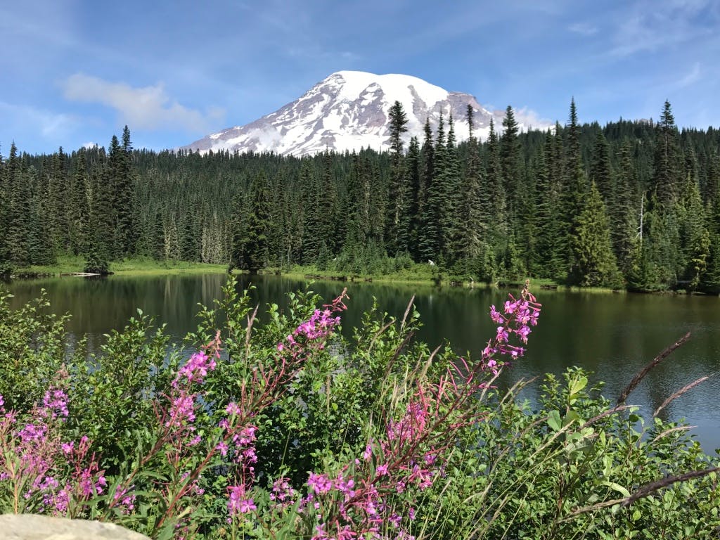 user avatar image for Lynne