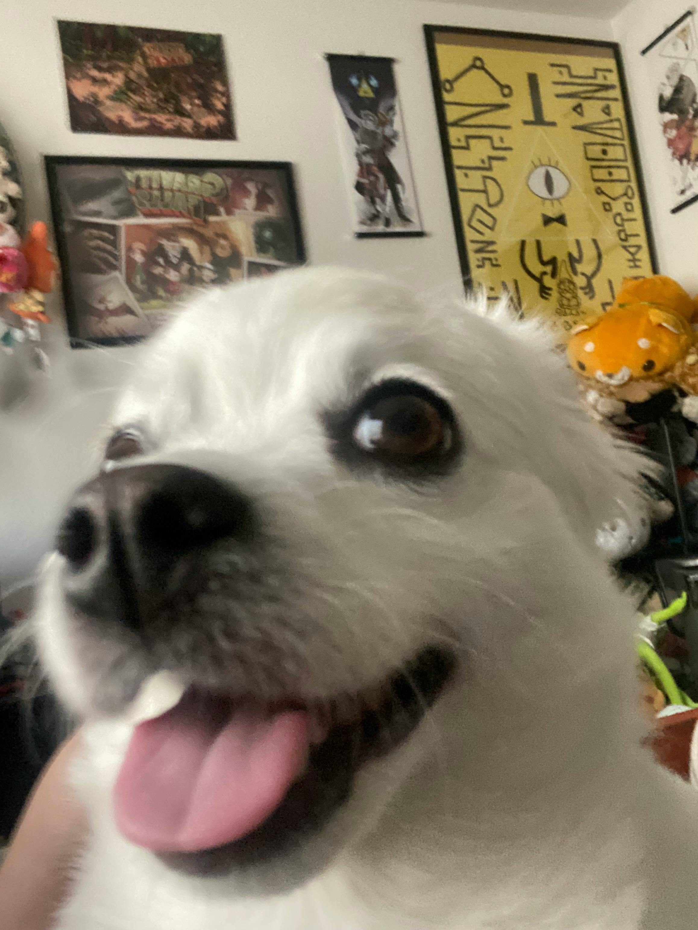 user avatar image for Kimiko