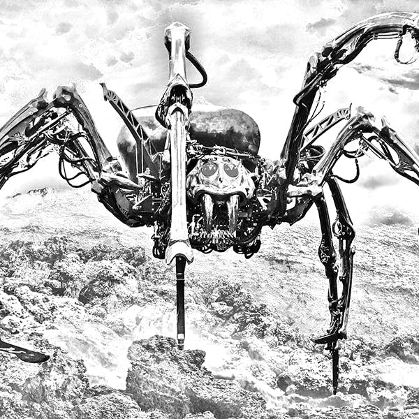 Digital copy (Both English and Italian)