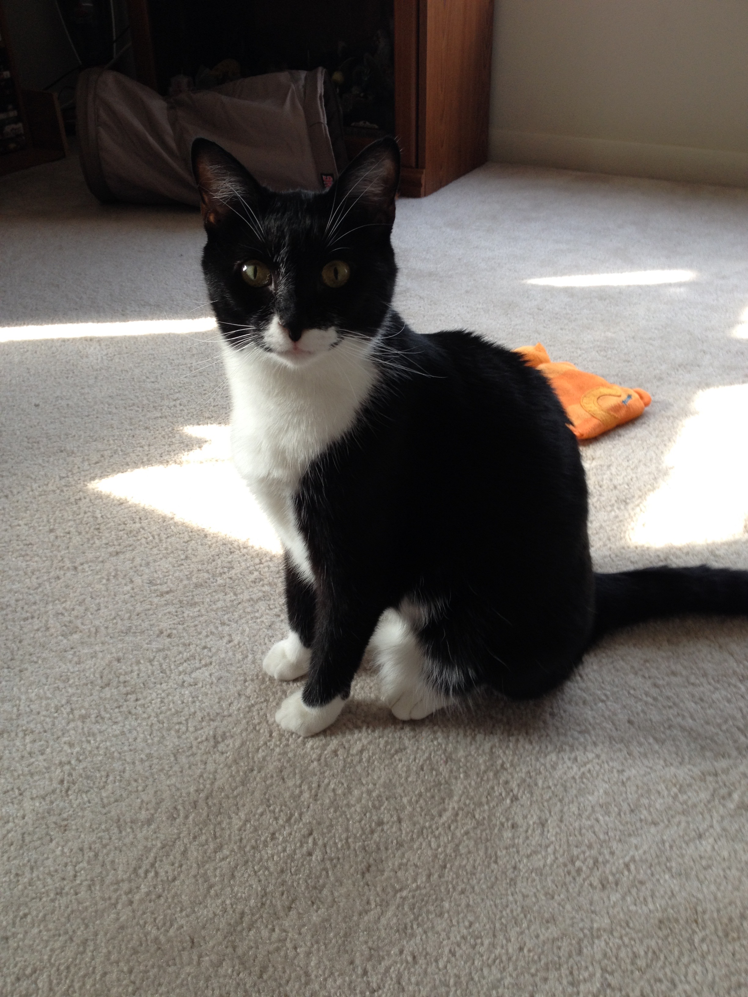 user avatar image for Laura