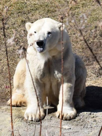 user avatar image for 1QueasyCrow