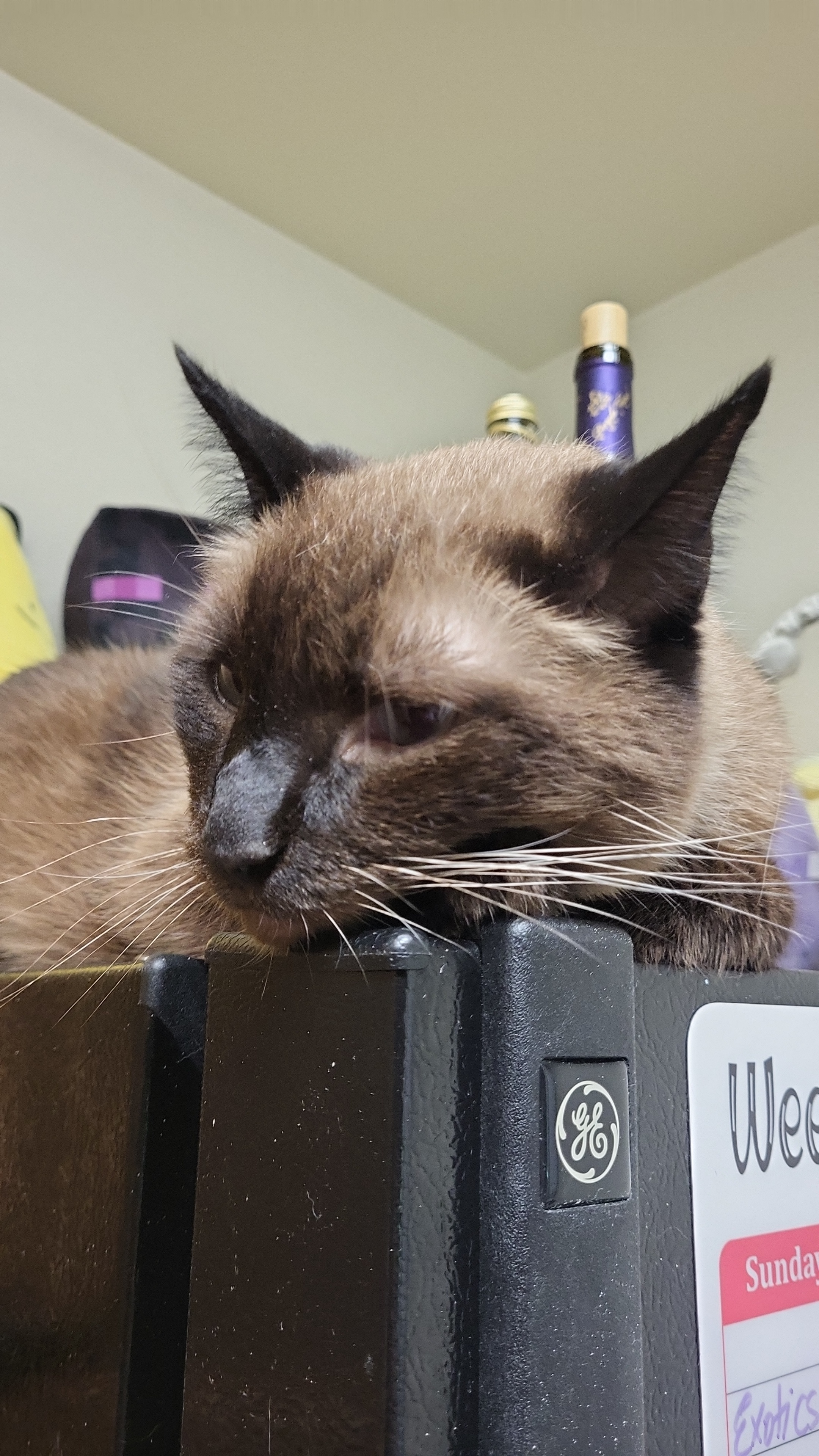 user avatar image for Miles Calvert