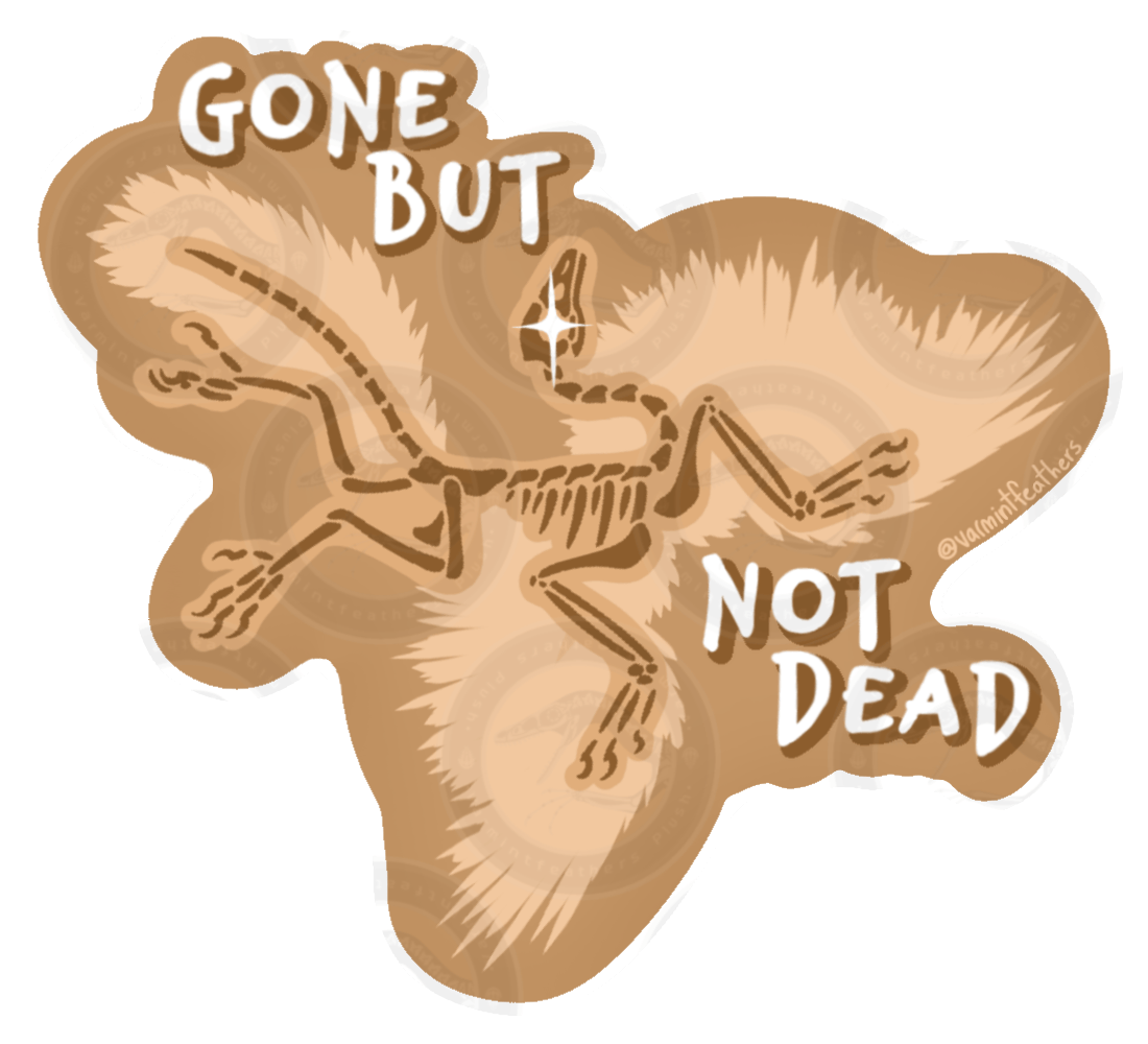 "Gone but not Dead" Archaeopteryx Sticker