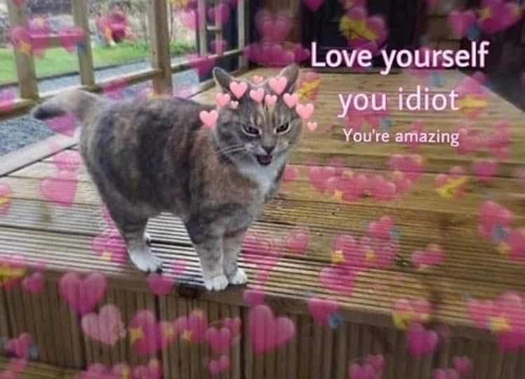 user avatar image for TarmaNH