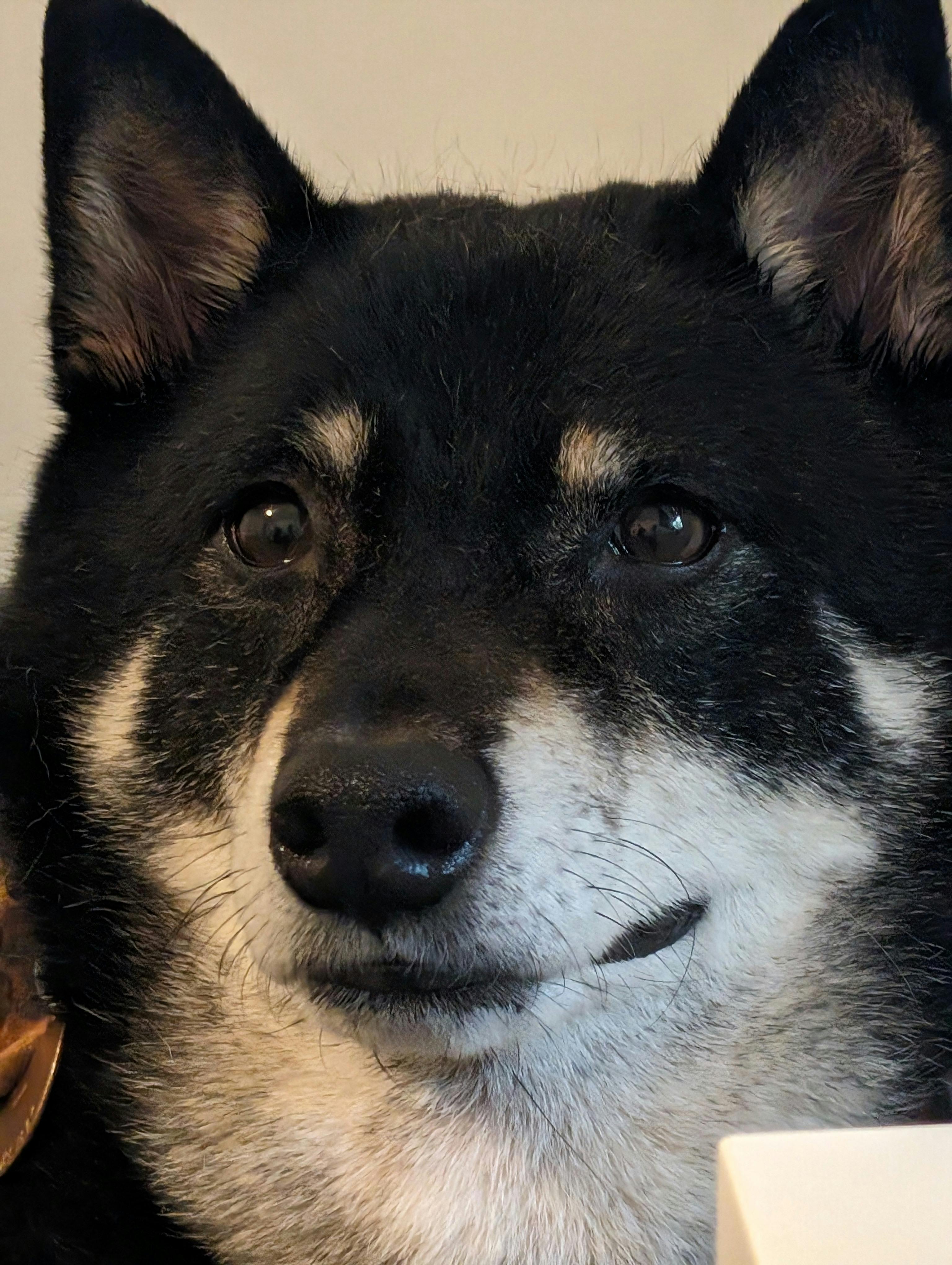 user avatar image for Jessie Kuse