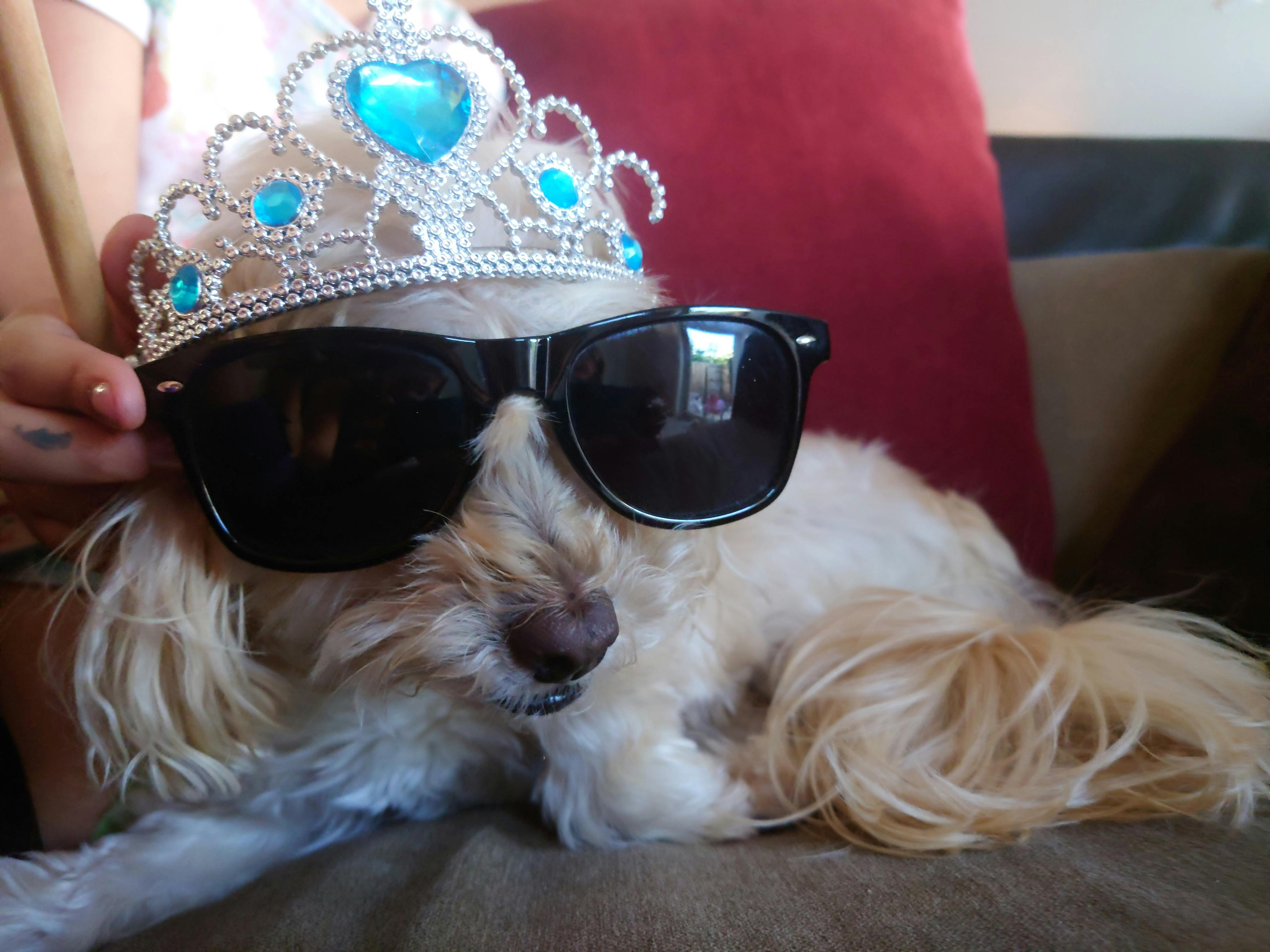 user avatar image for Jessica Fates