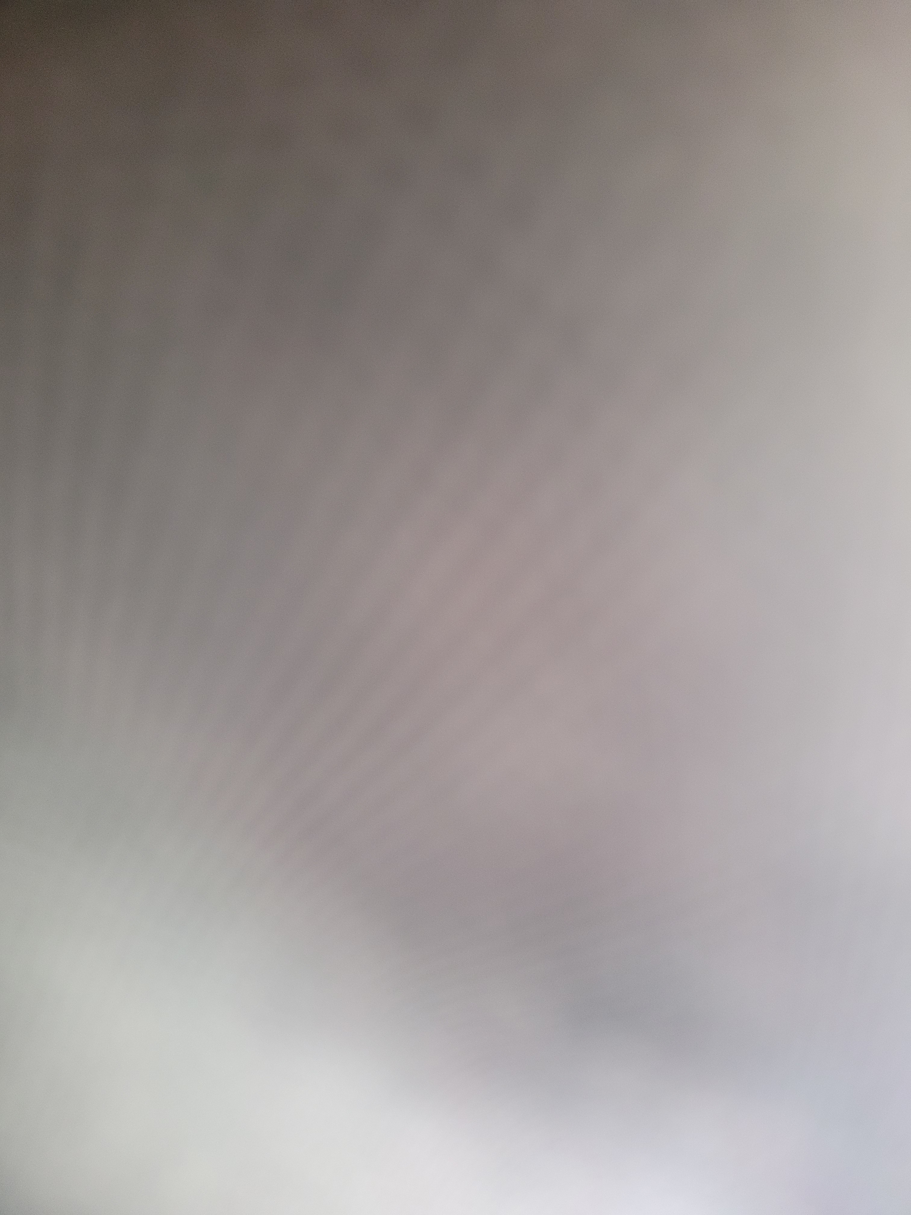 user avatar image for Anonymous Pigeon #2132293