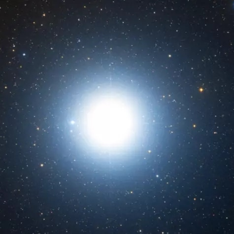 user avatar image for Procyon