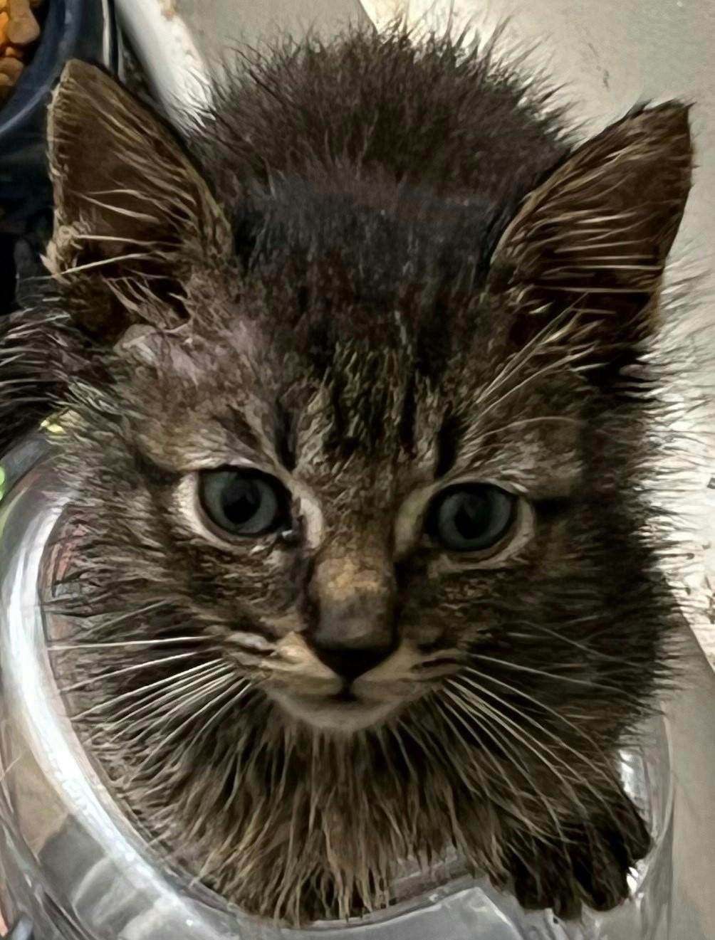 user avatar image for Yanamom