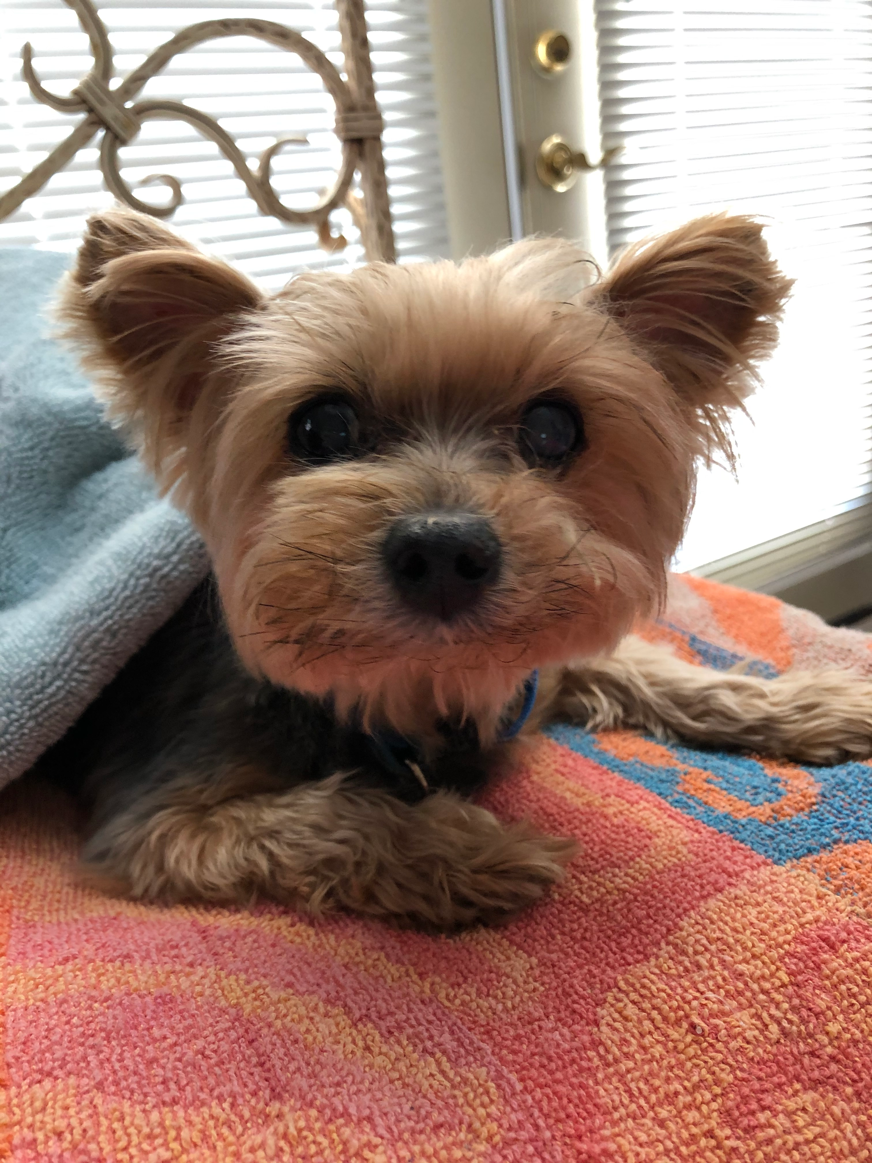 user avatar image for Medi