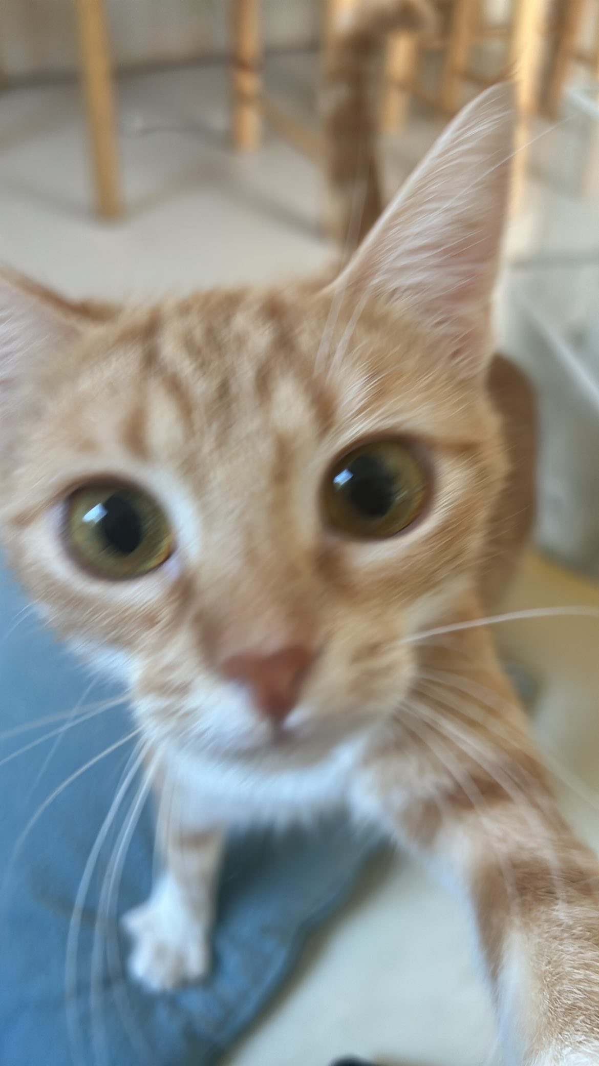 user avatar image for Tereza