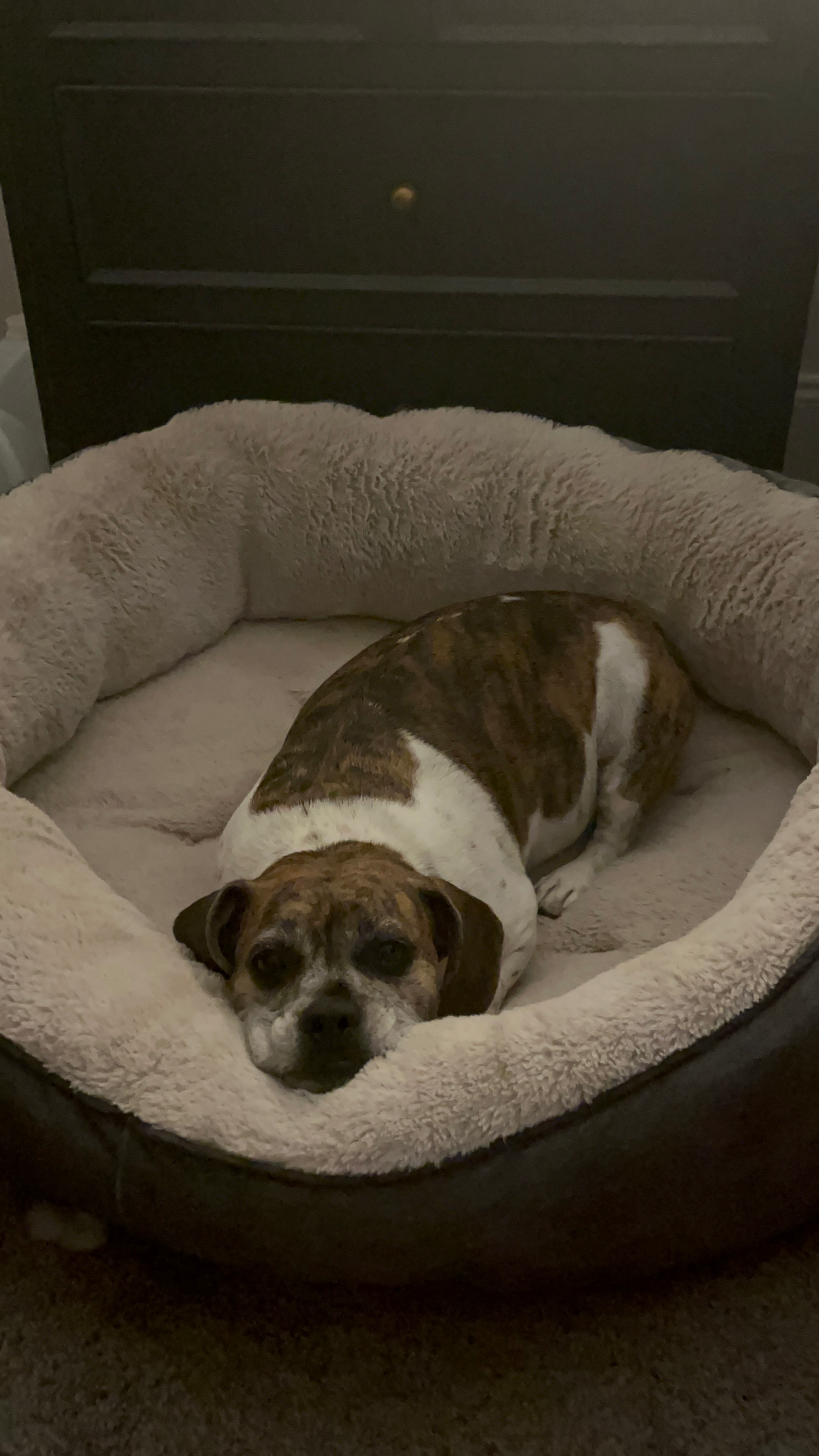 user avatar image for Kayla Nicholson