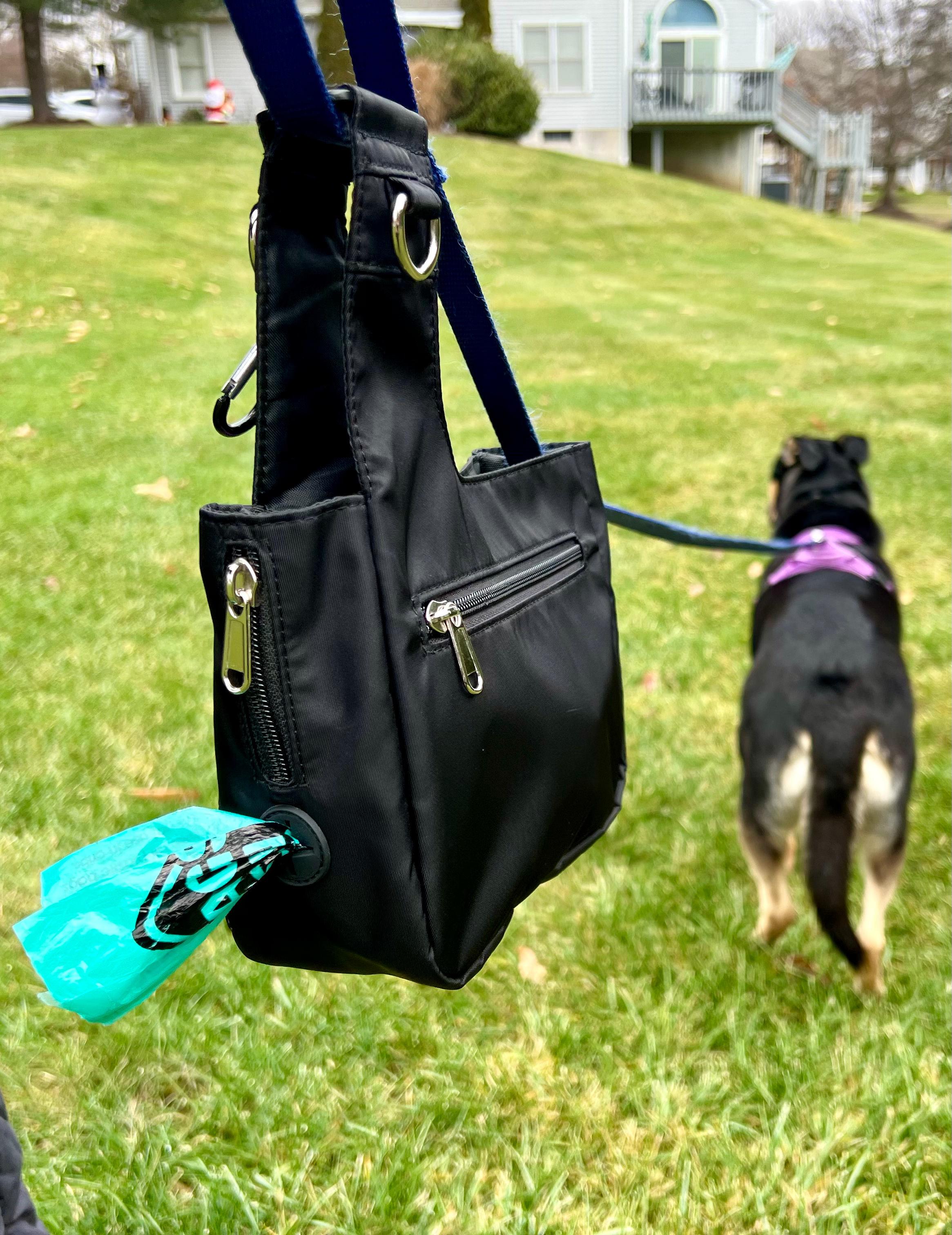 Leash Tote