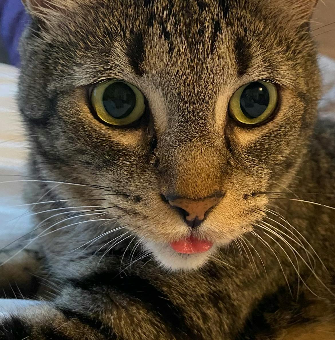 user avatar image for Casper Key