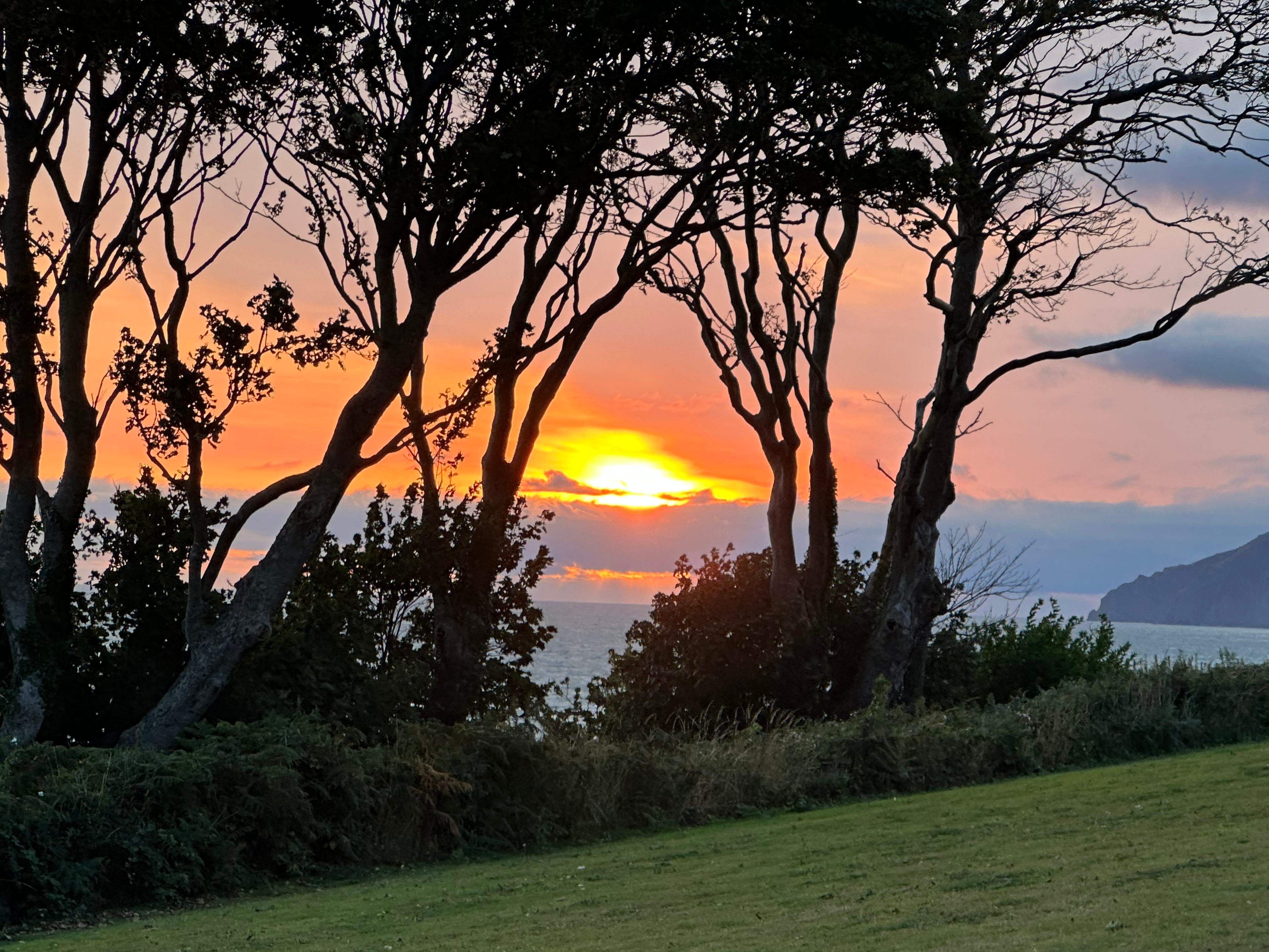 user avatar image for Thunderkat