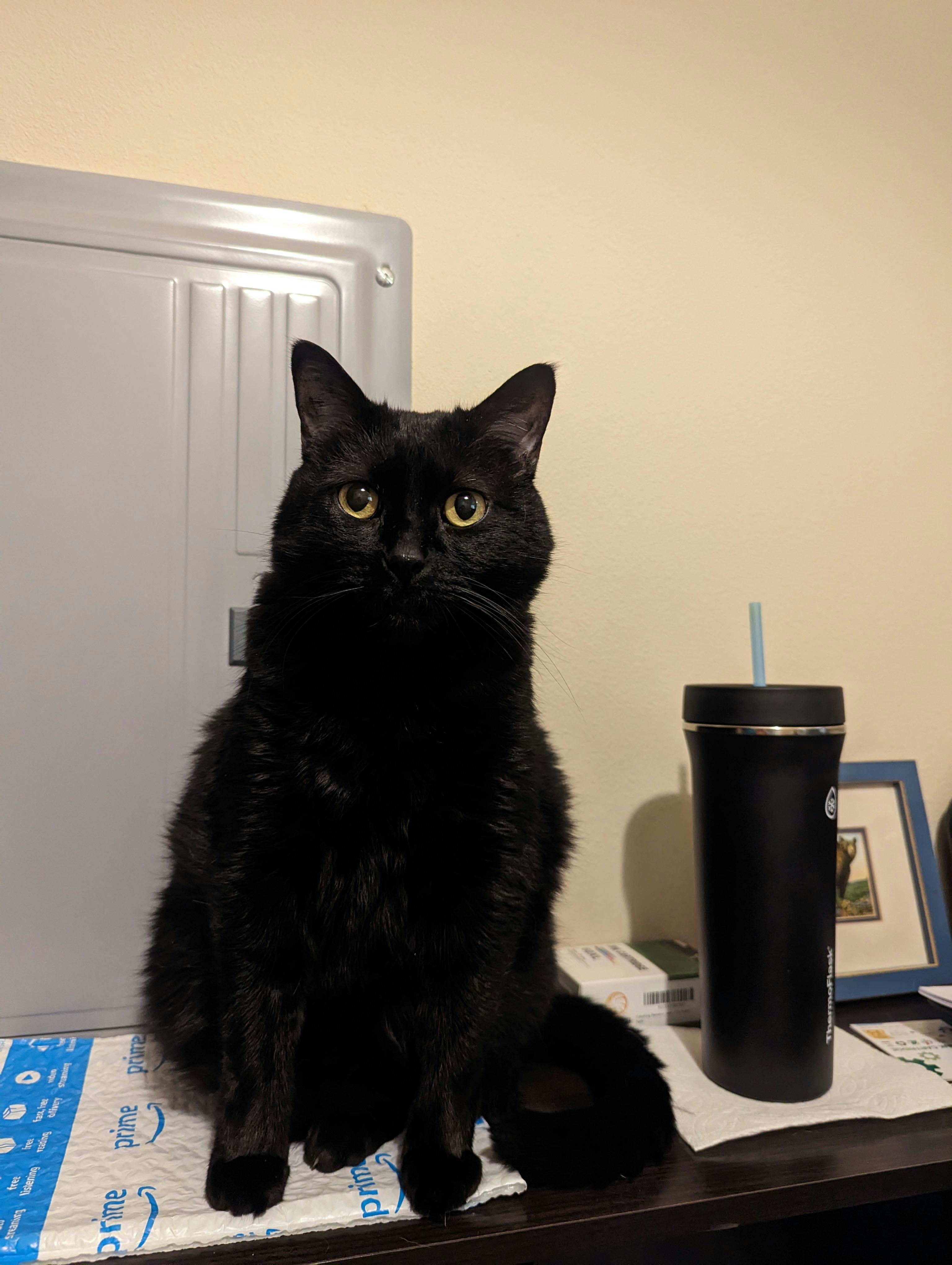 user avatar image for Katie Gale