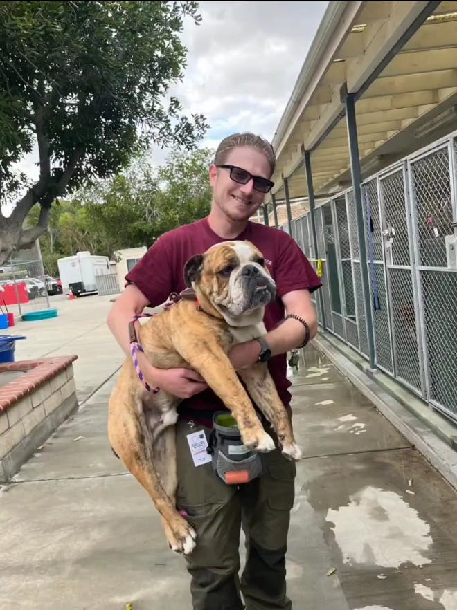 user avatar image for Robert Starr