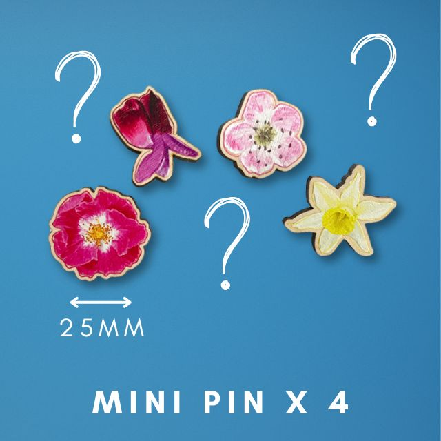 4 Wooden Mini Pins