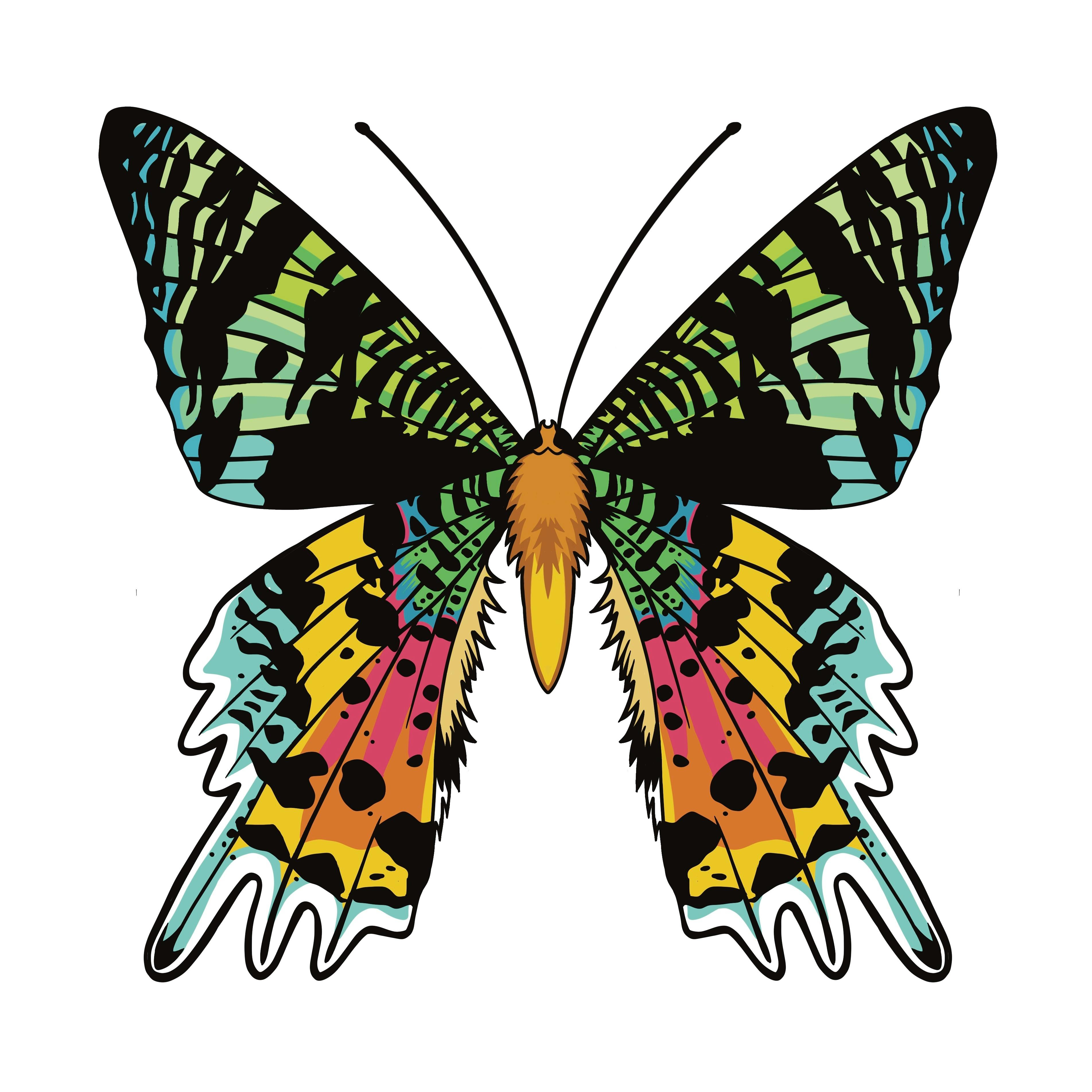 Madagascan Sunset Moth 2.5" XL pin
