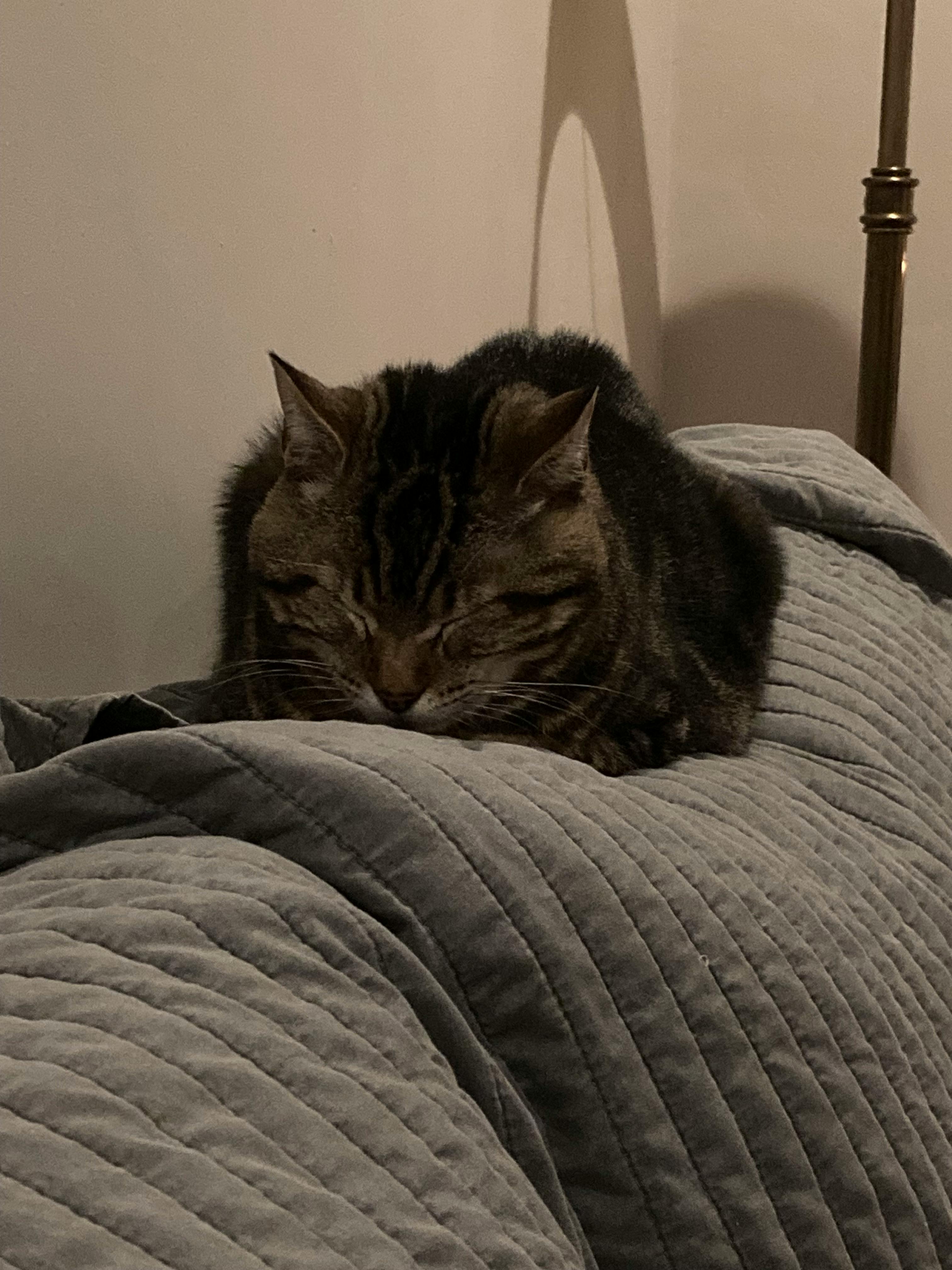 user avatar image for Rachhhhhh