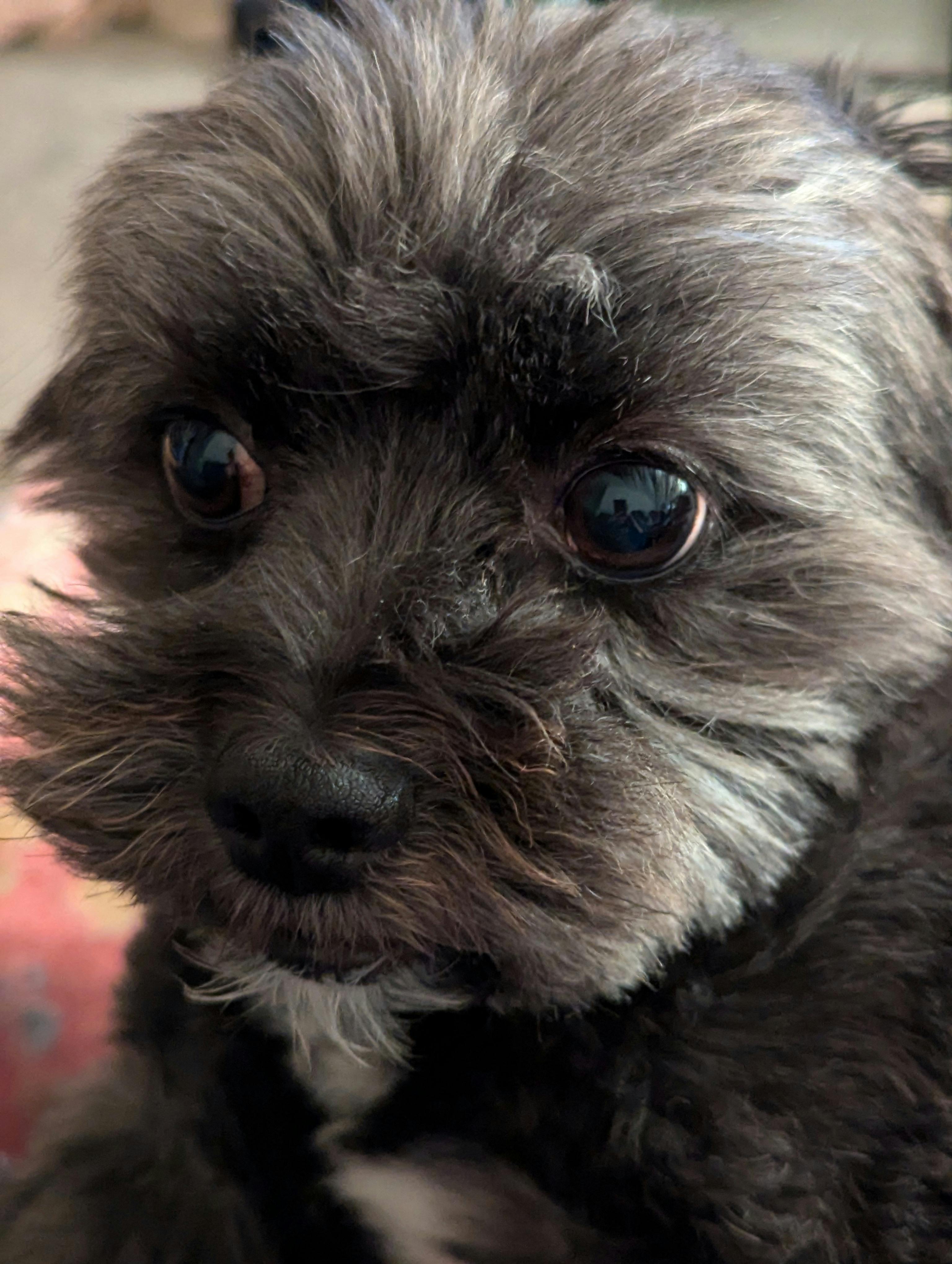 user avatar image for Gina