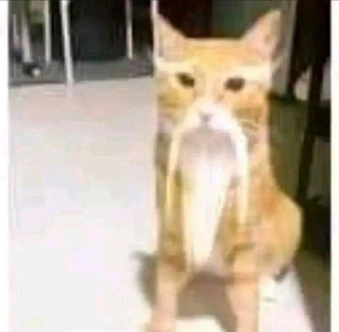 user avatar image for Jacob Rodriguez