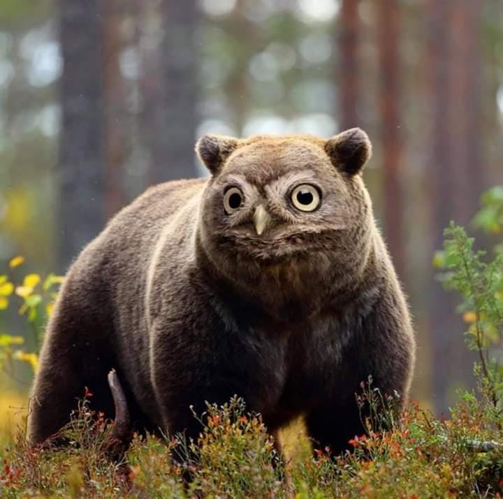 user avatar image for Julio Marcelo