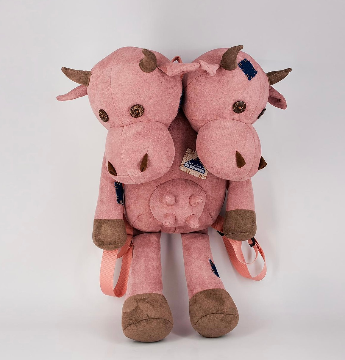 Brahmin Backpack