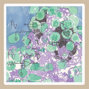 Skin Bacteria Sticker