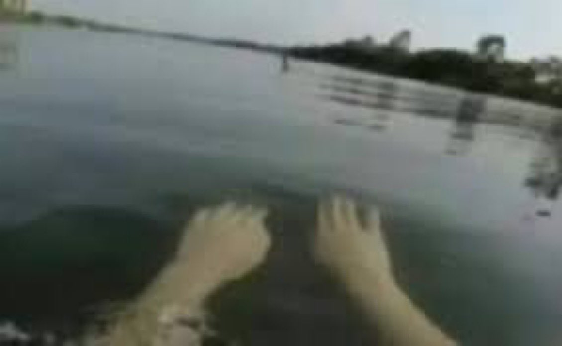 user avatar image for Choco