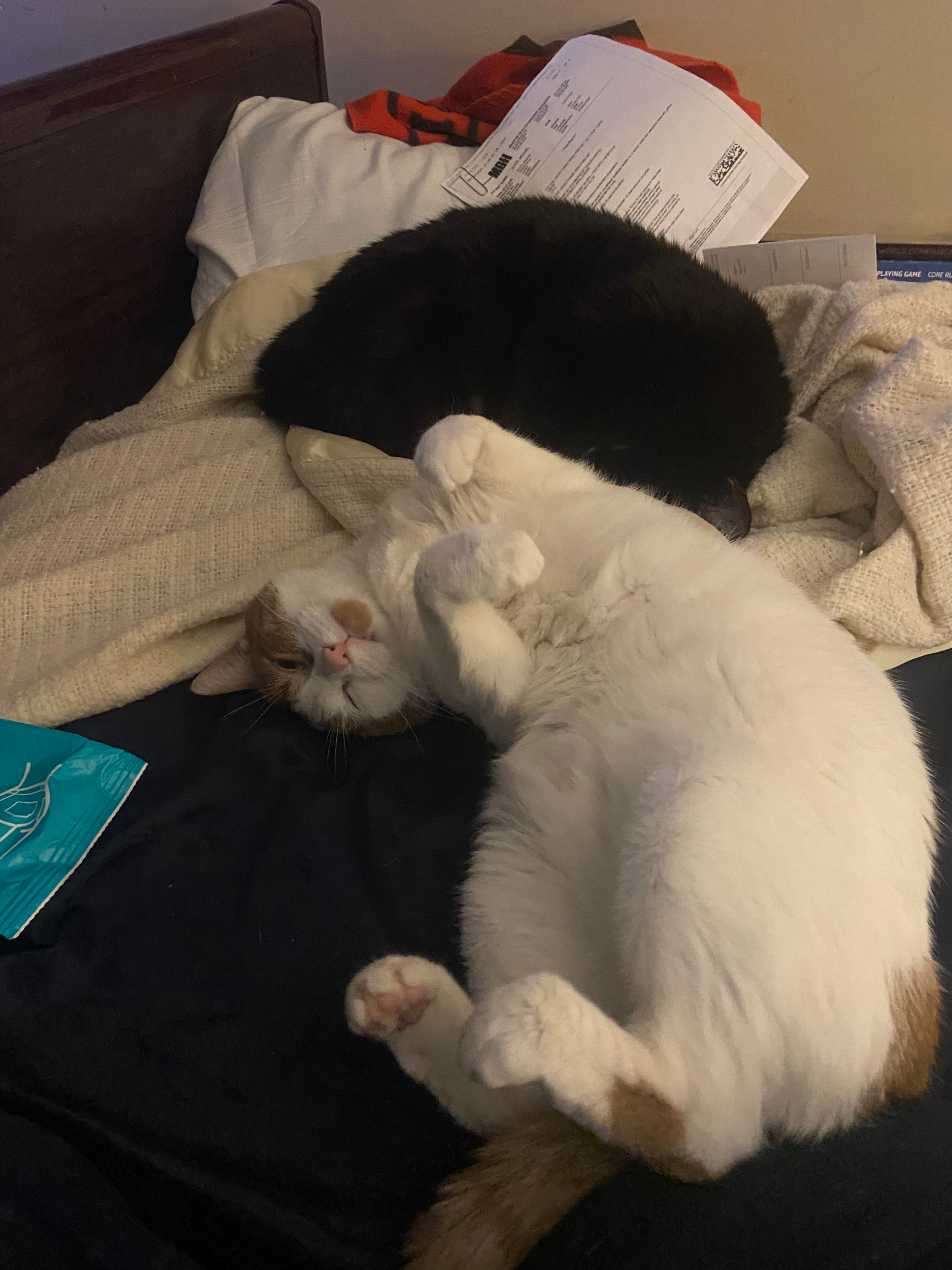 user avatar image for Michael